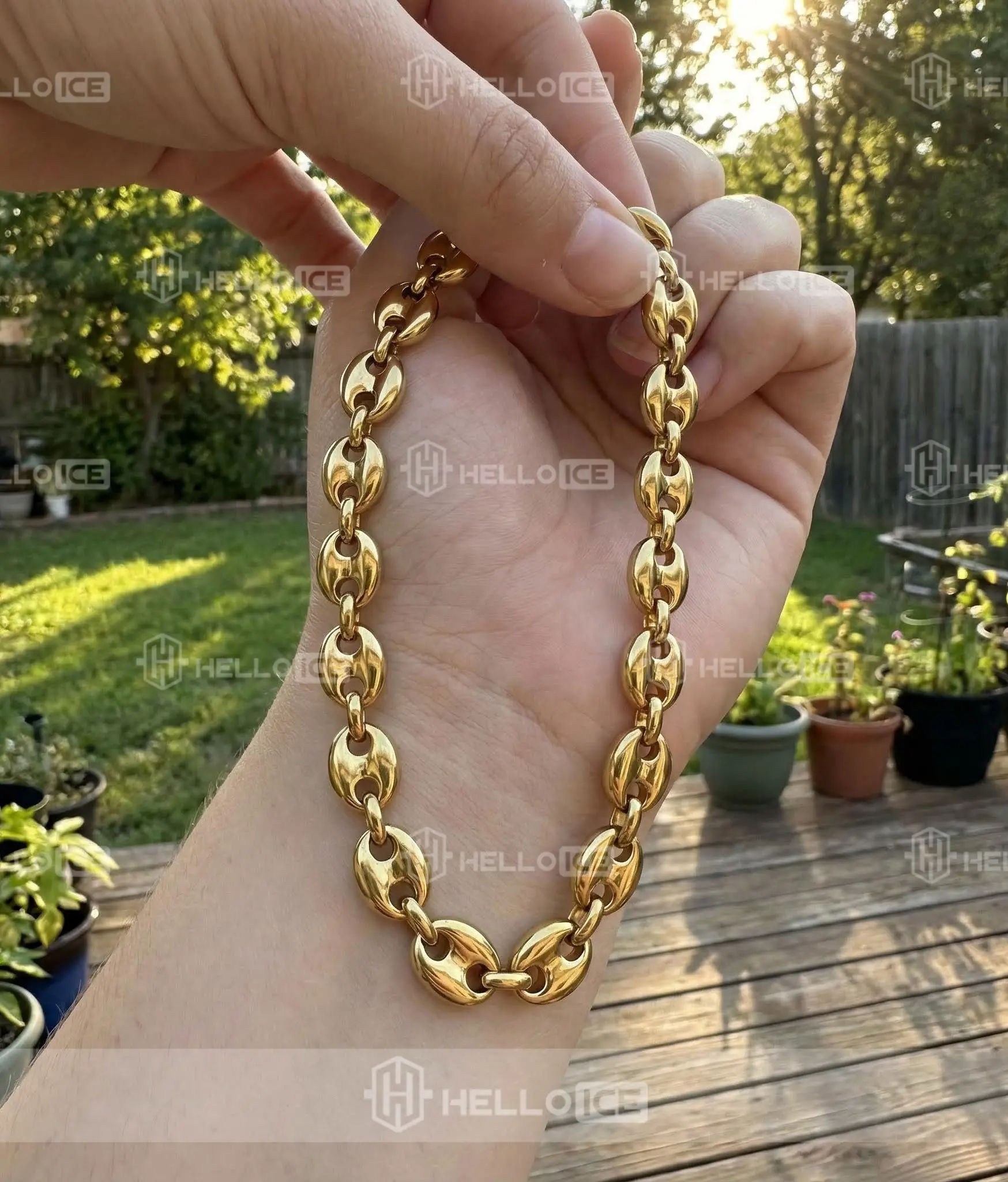 Helloice Review Image