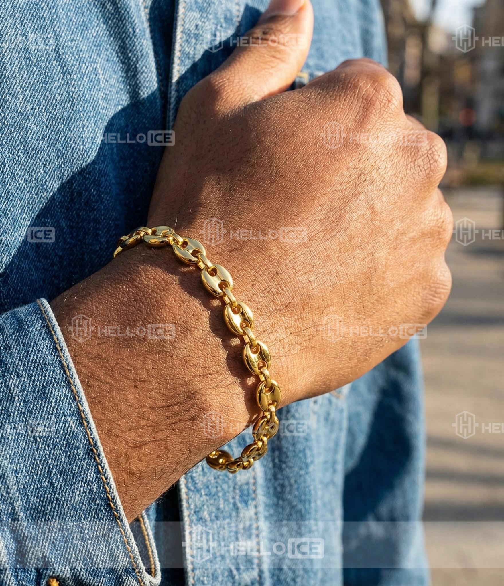 Helloice Review Image