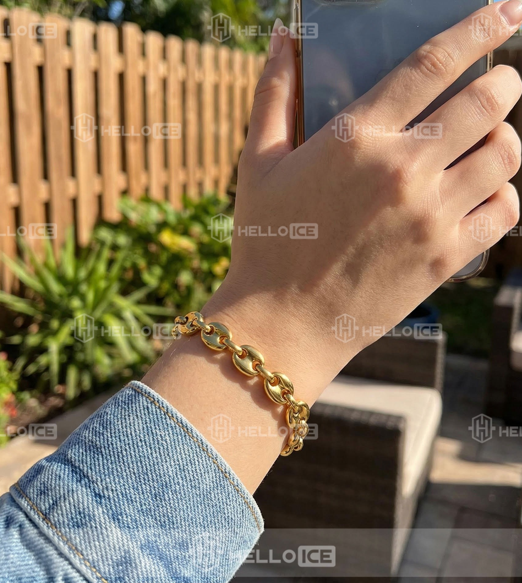 Helloice Review Image