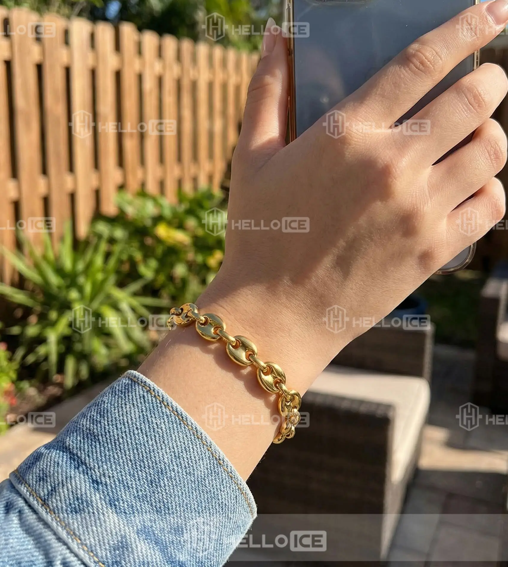 Helloice Review Image