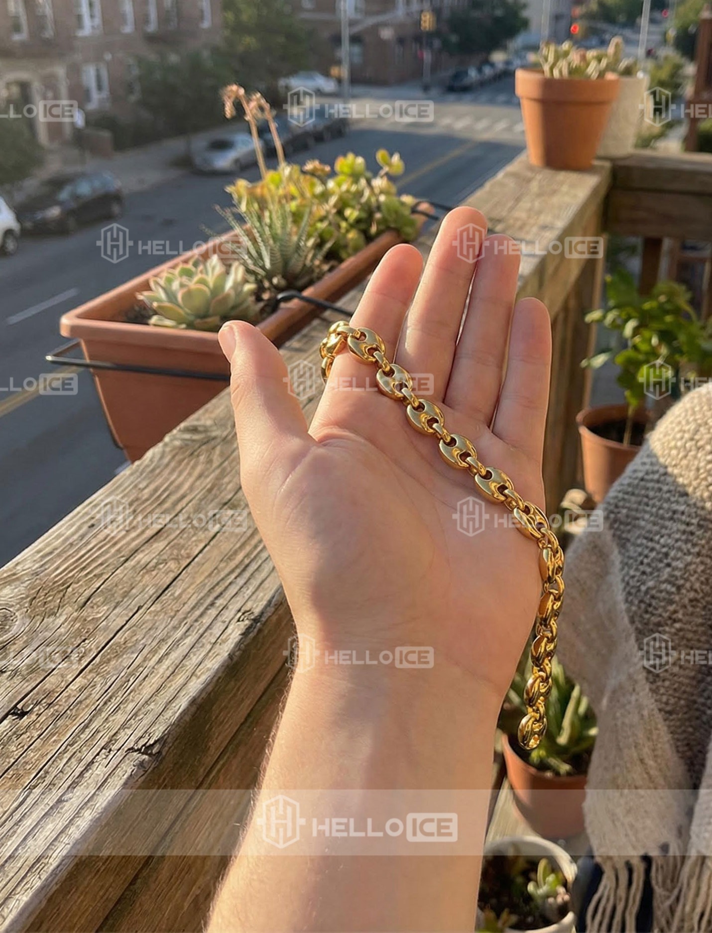 Helloice Review Image