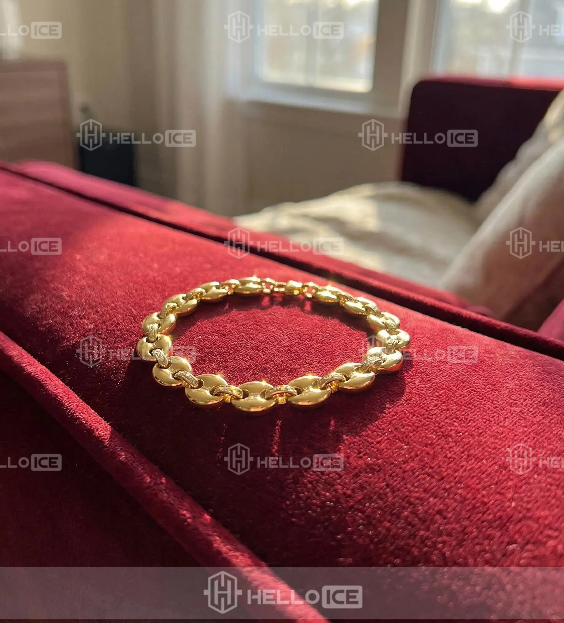 Helloice Review Image