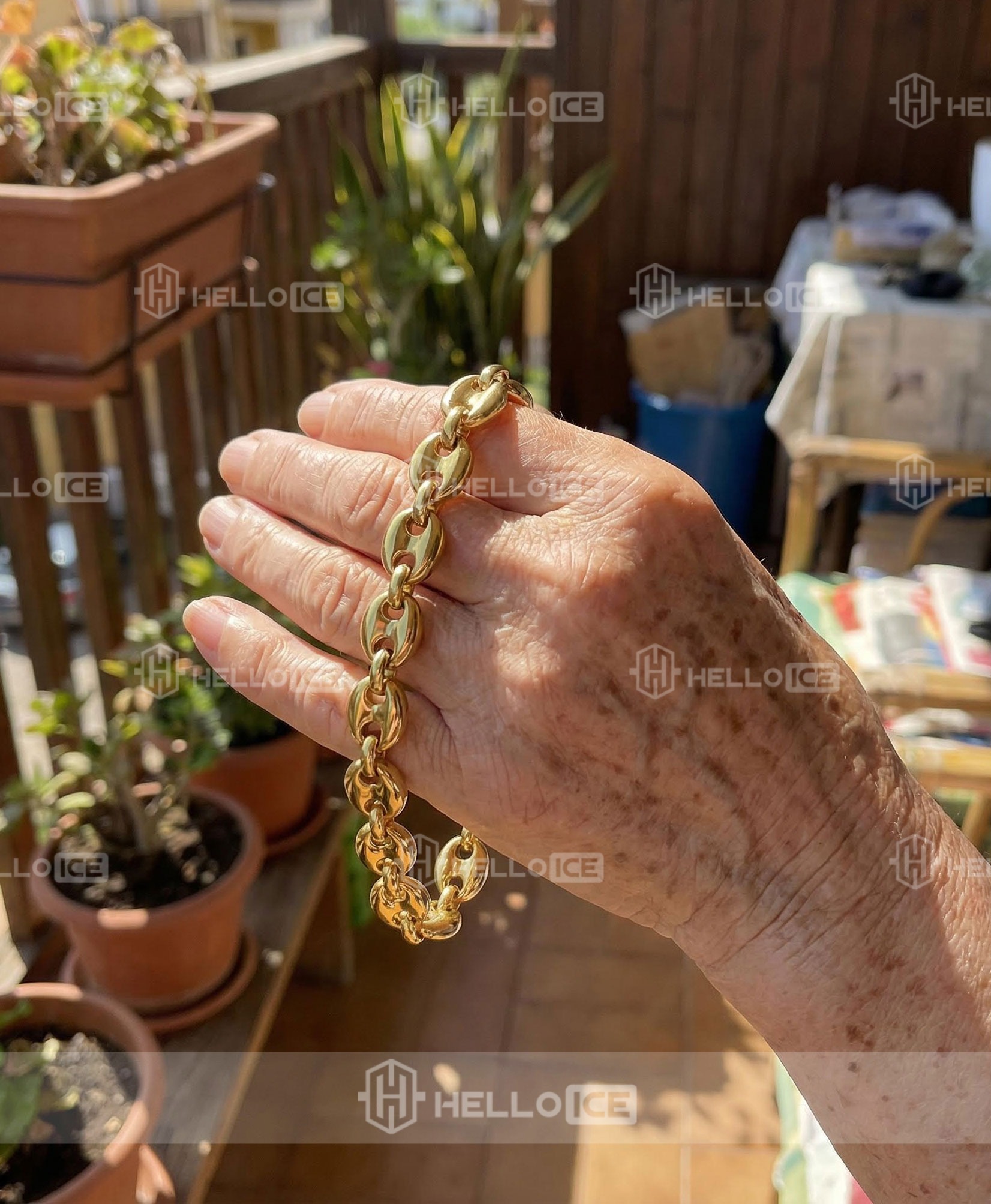 Helloice Review Image