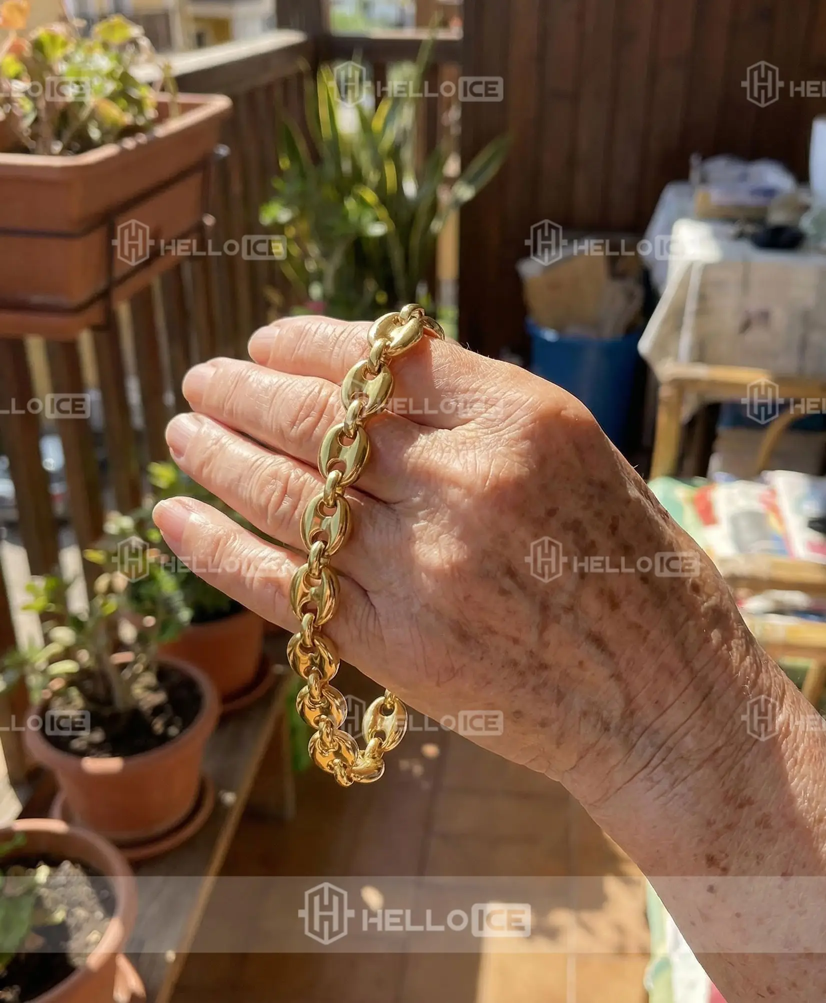 Helloice Review Image