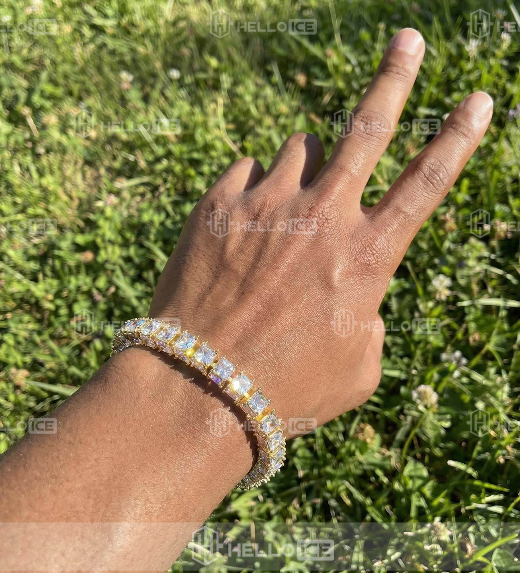 Helloice Review Image