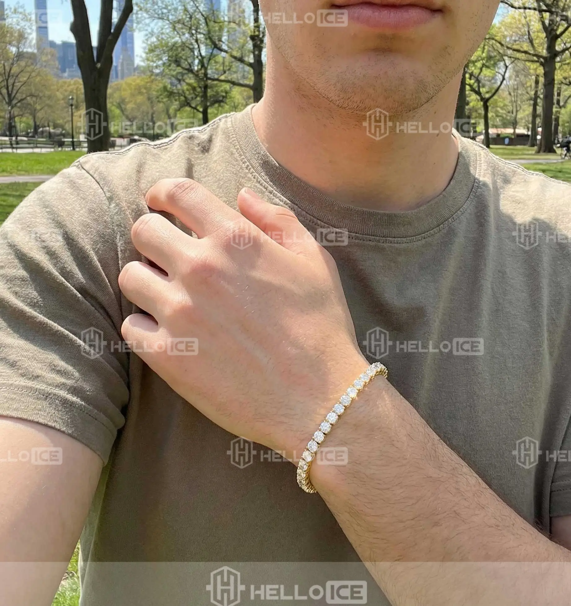 Helloice Review Image