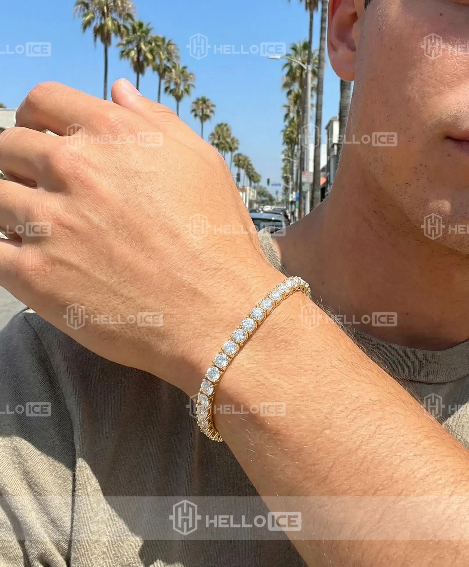 Helloice Review Image