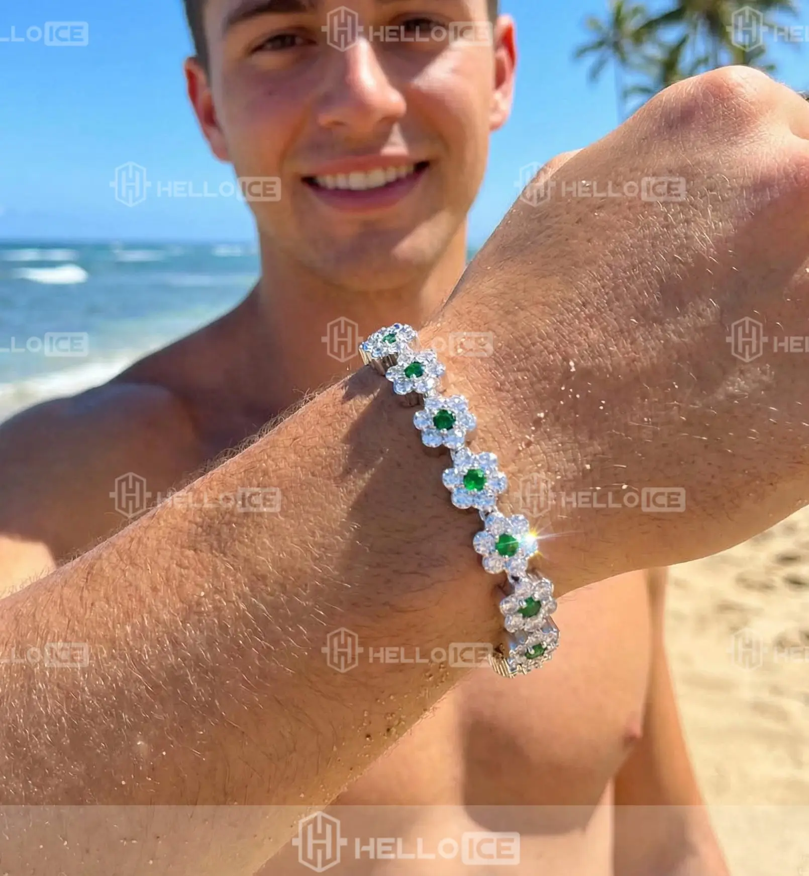 Helloice Review Image