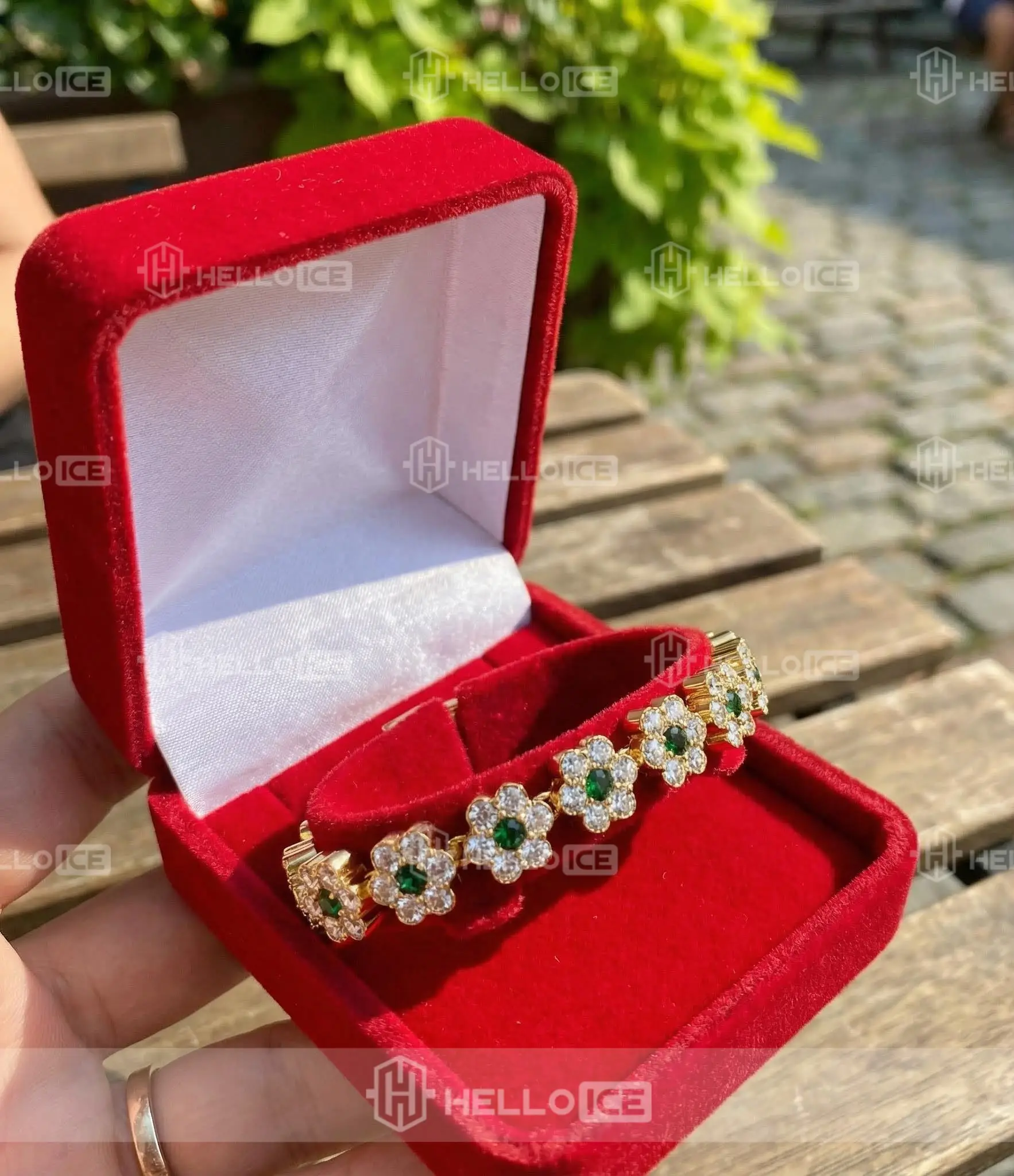 Helloice Review Image