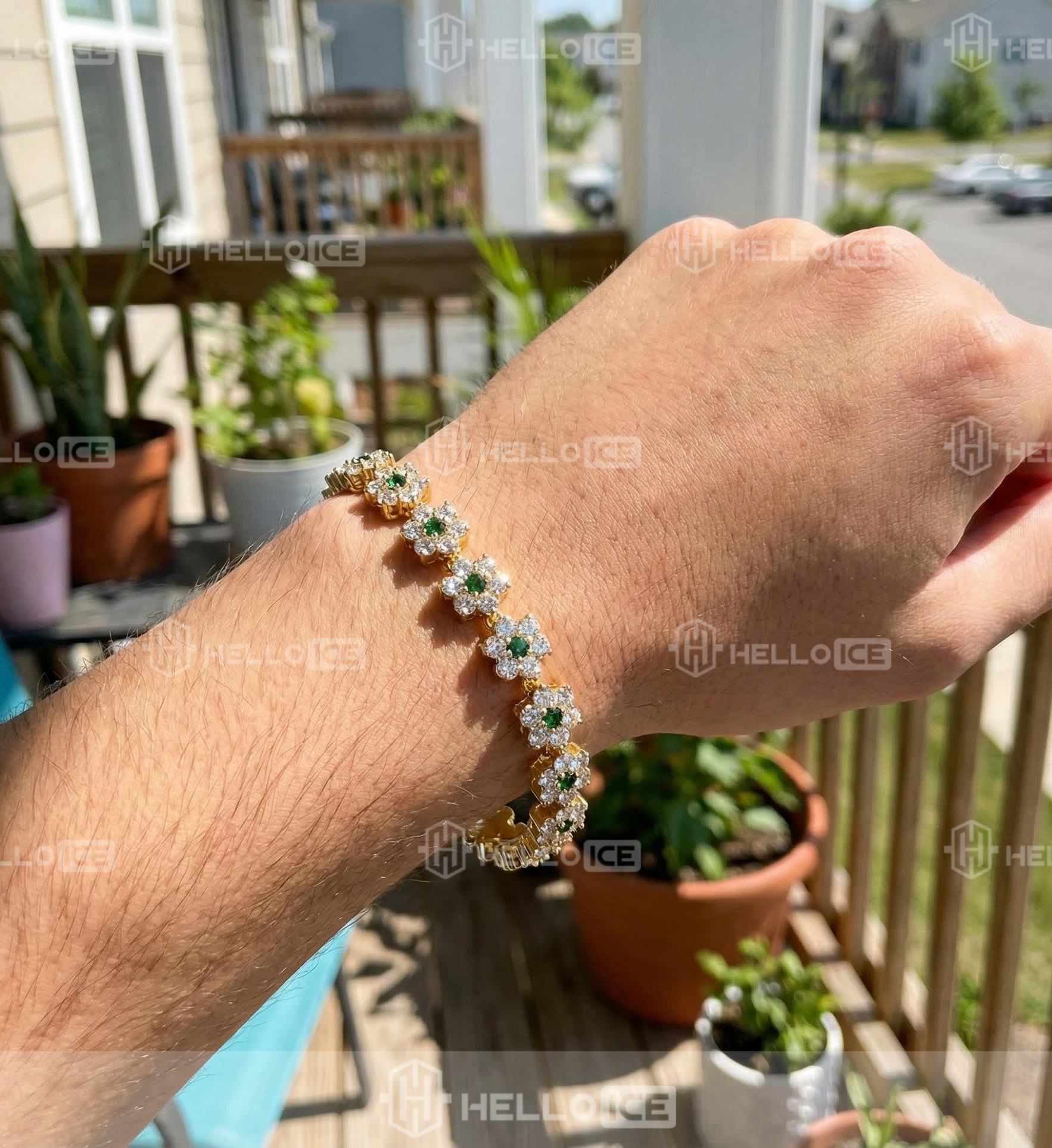 Helloice Review Image