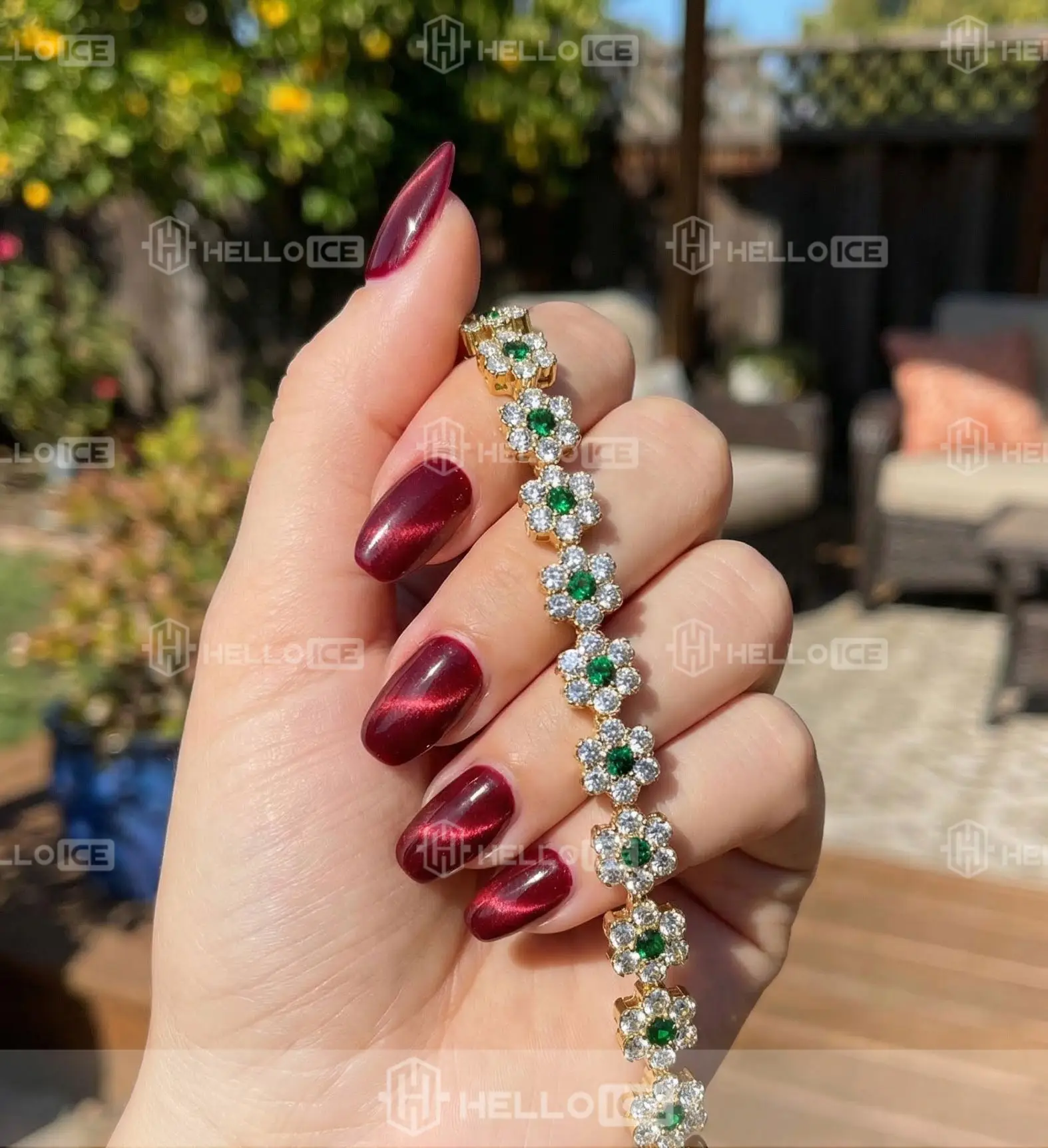 Helloice Review Image