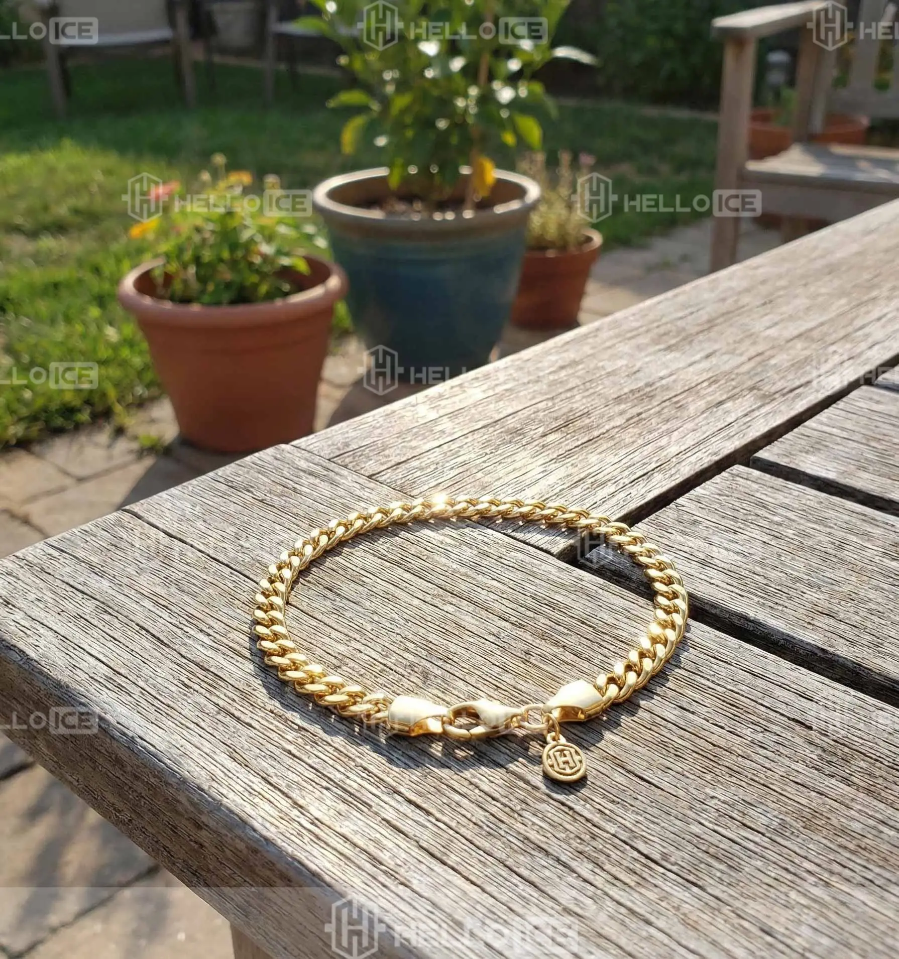 Helloice Review Image