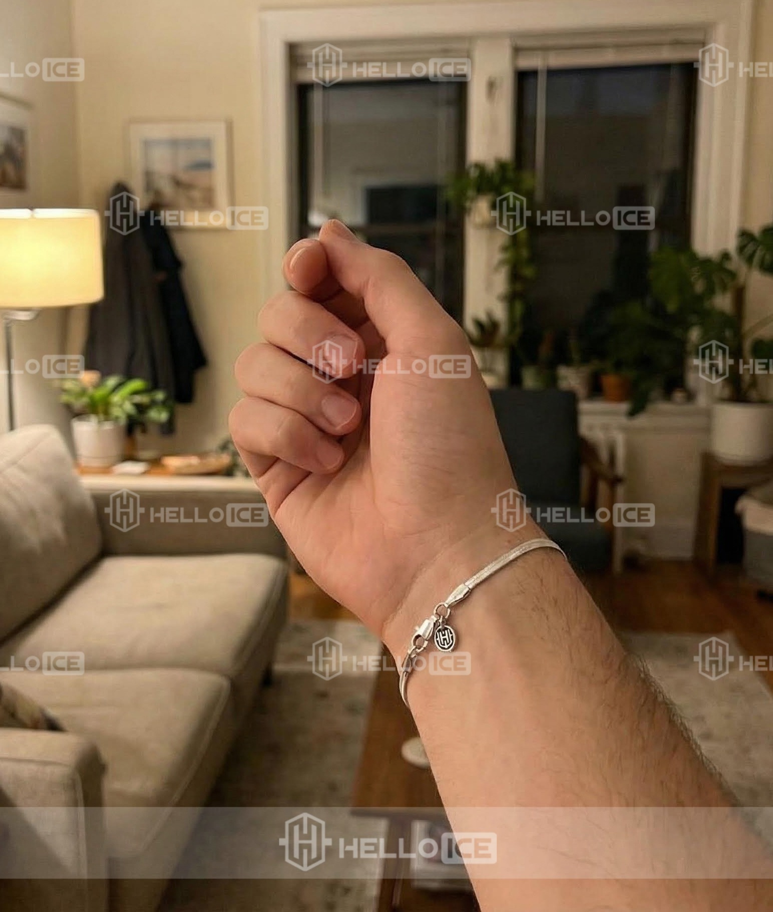 Helloice Review Image