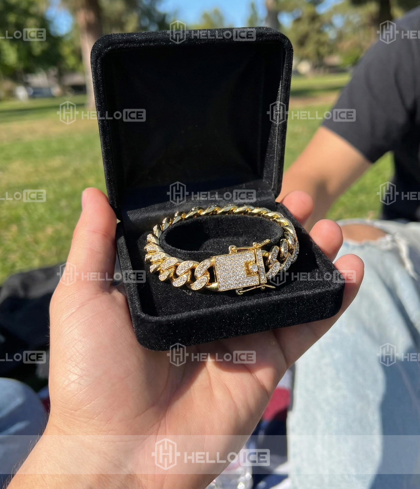 Helloice Review Image