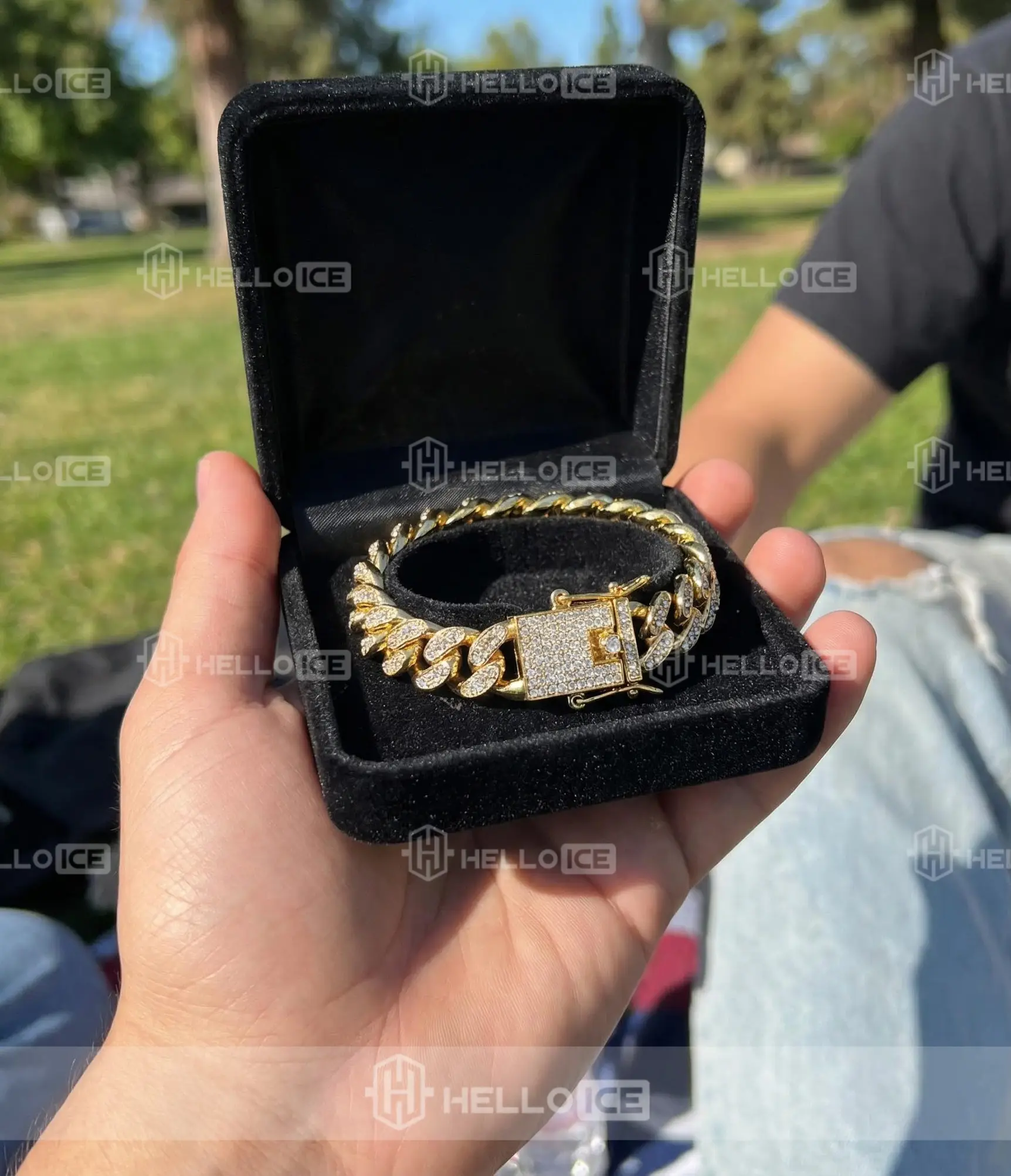 Helloice Review Image