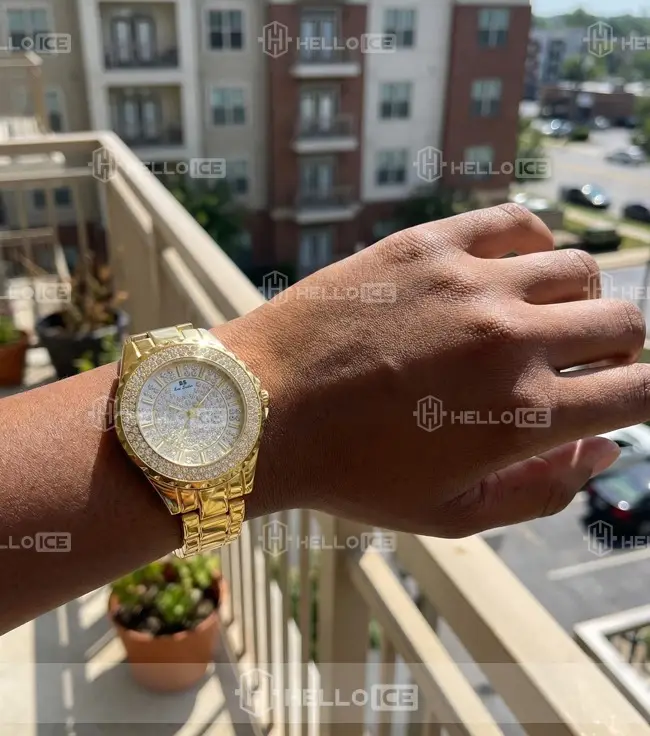 Helloice Review Image