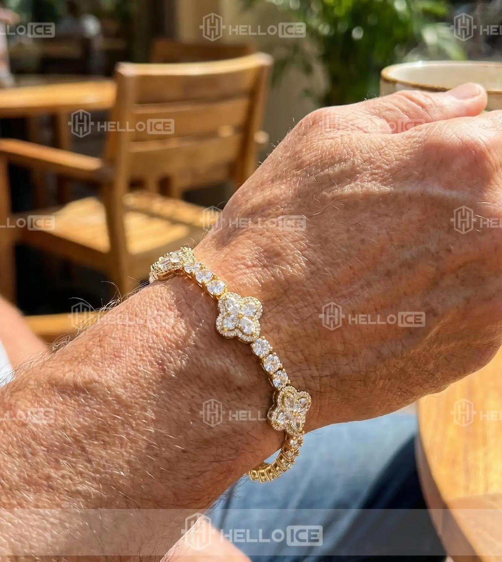 Helloice Review Image