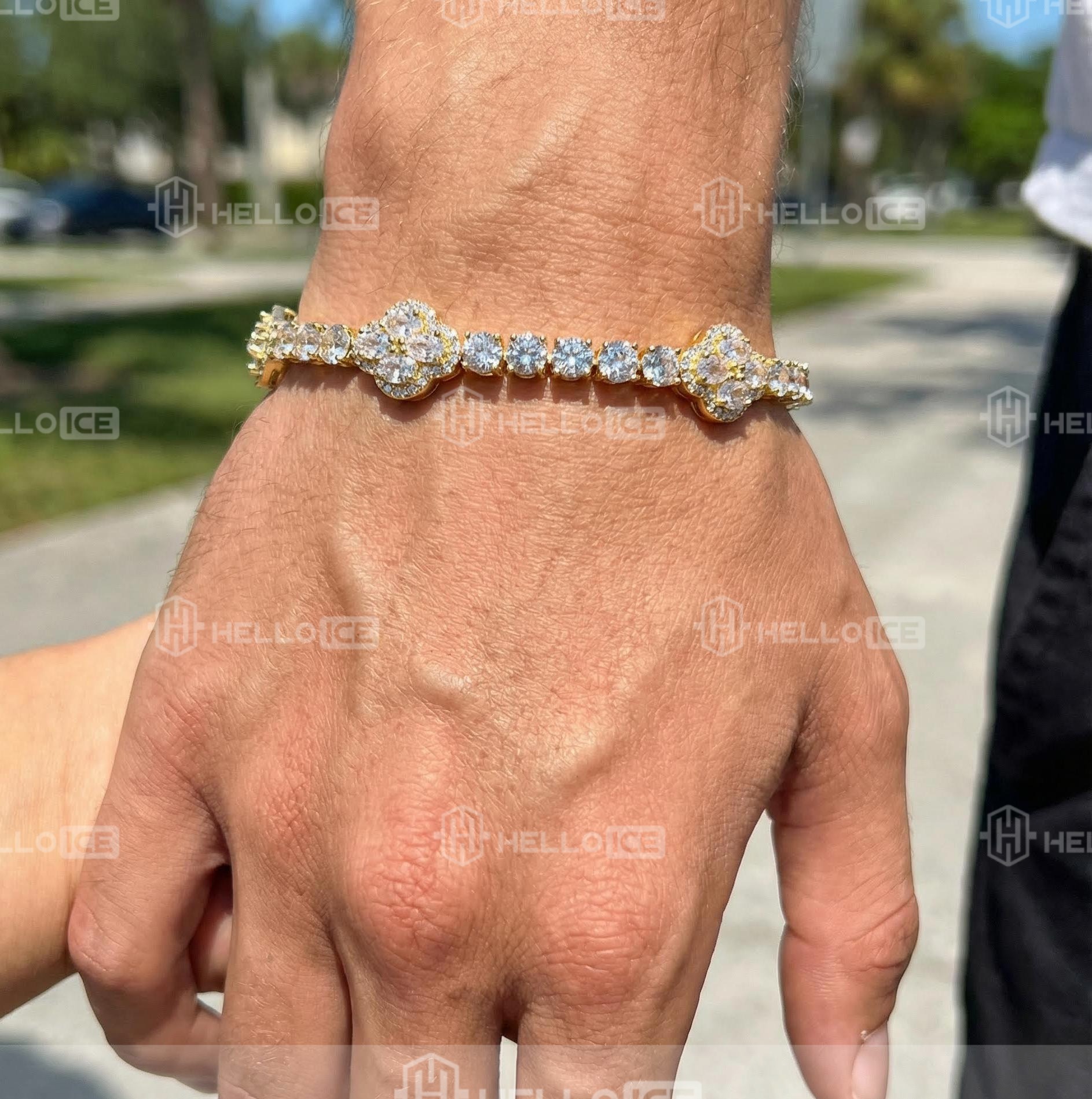 Helloice Review Image