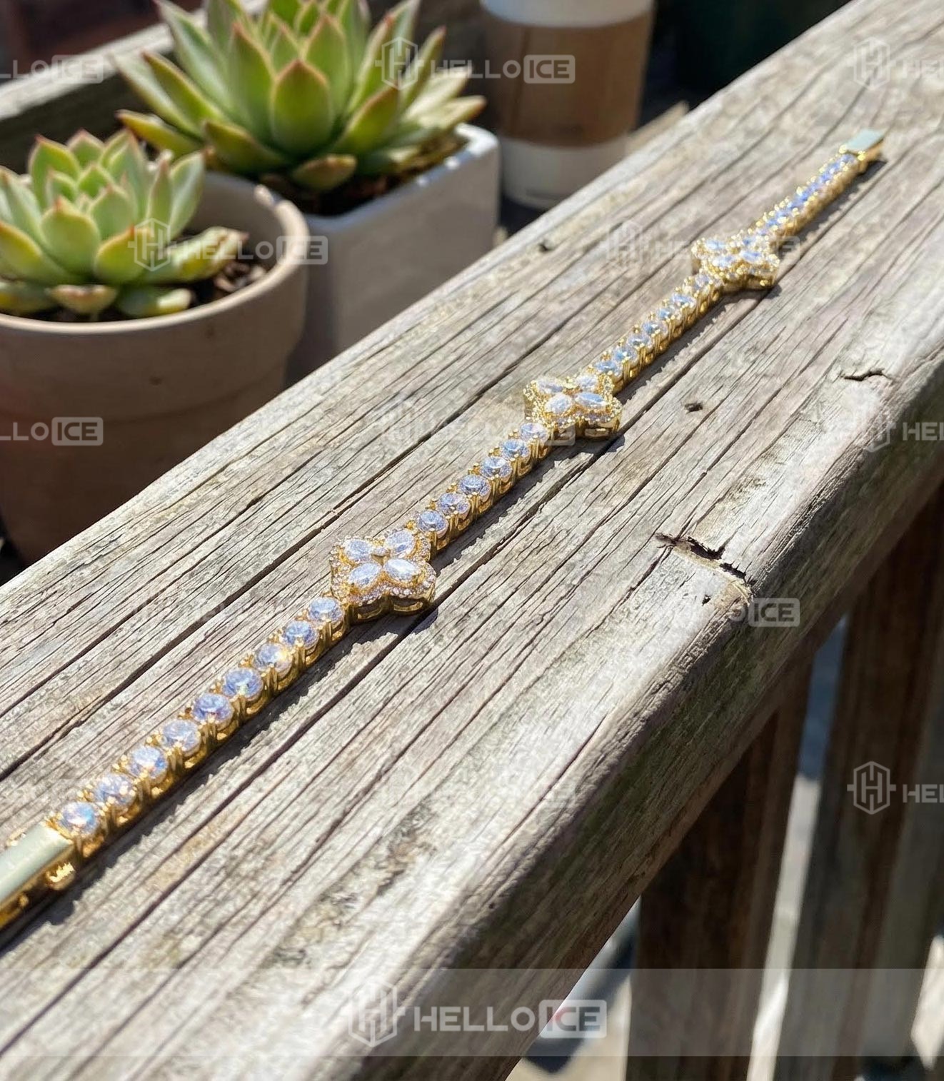 Helloice Review Image