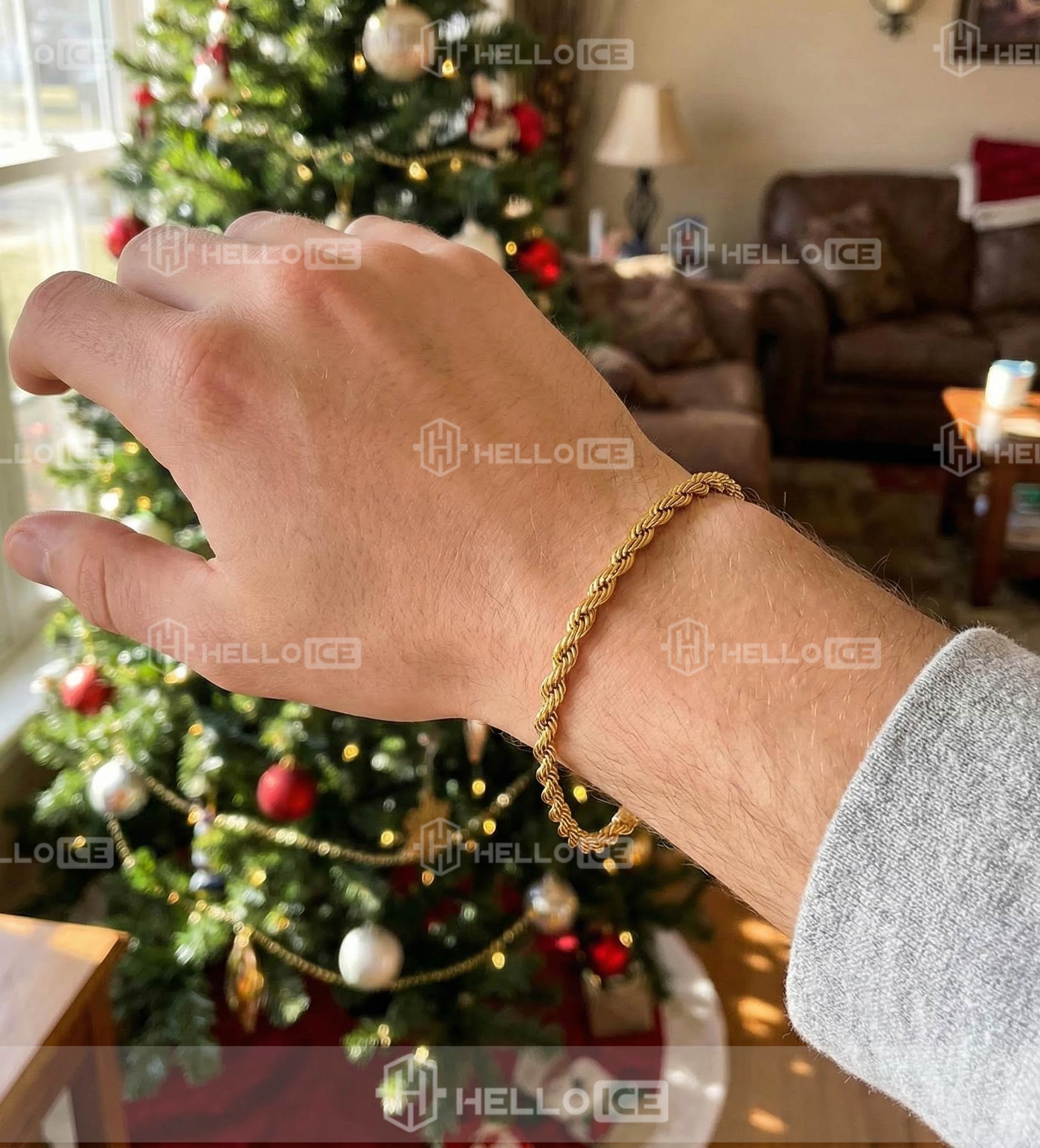 Helloice Review Image