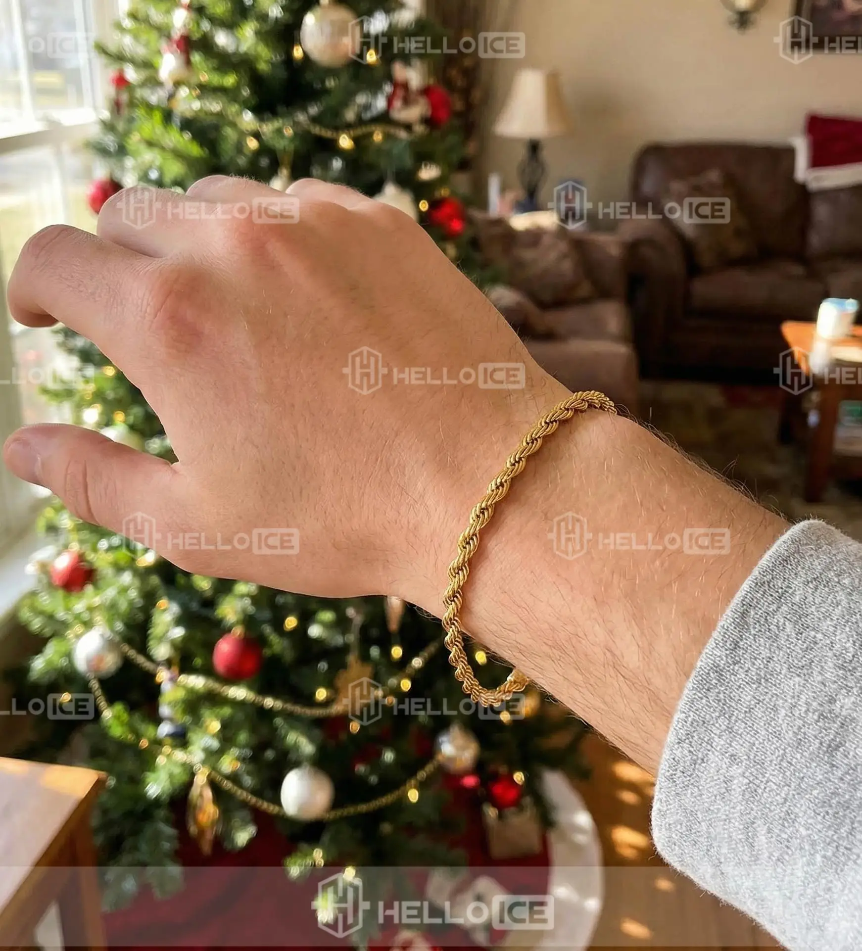 Helloice Review Image