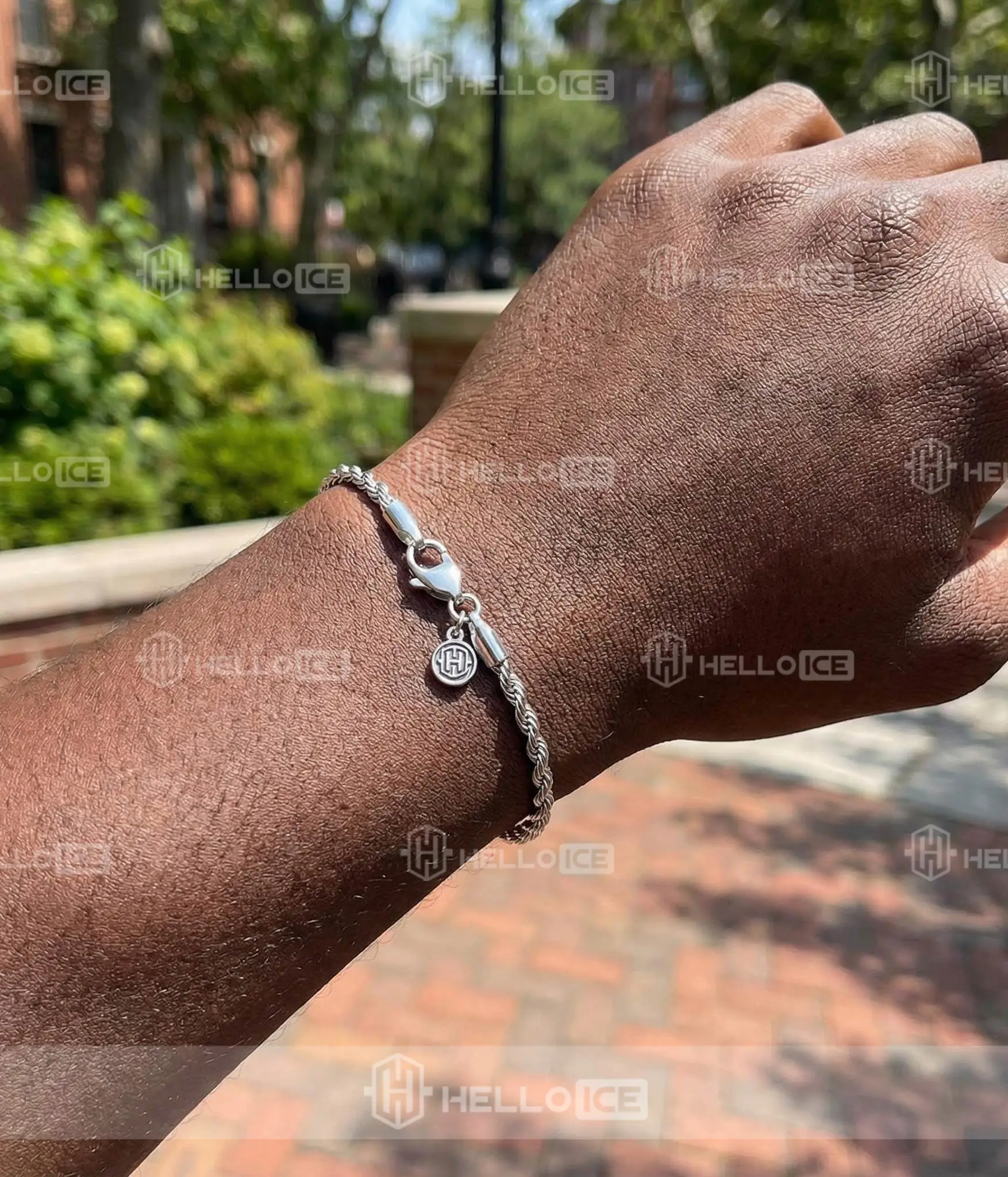 Helloice Review Image