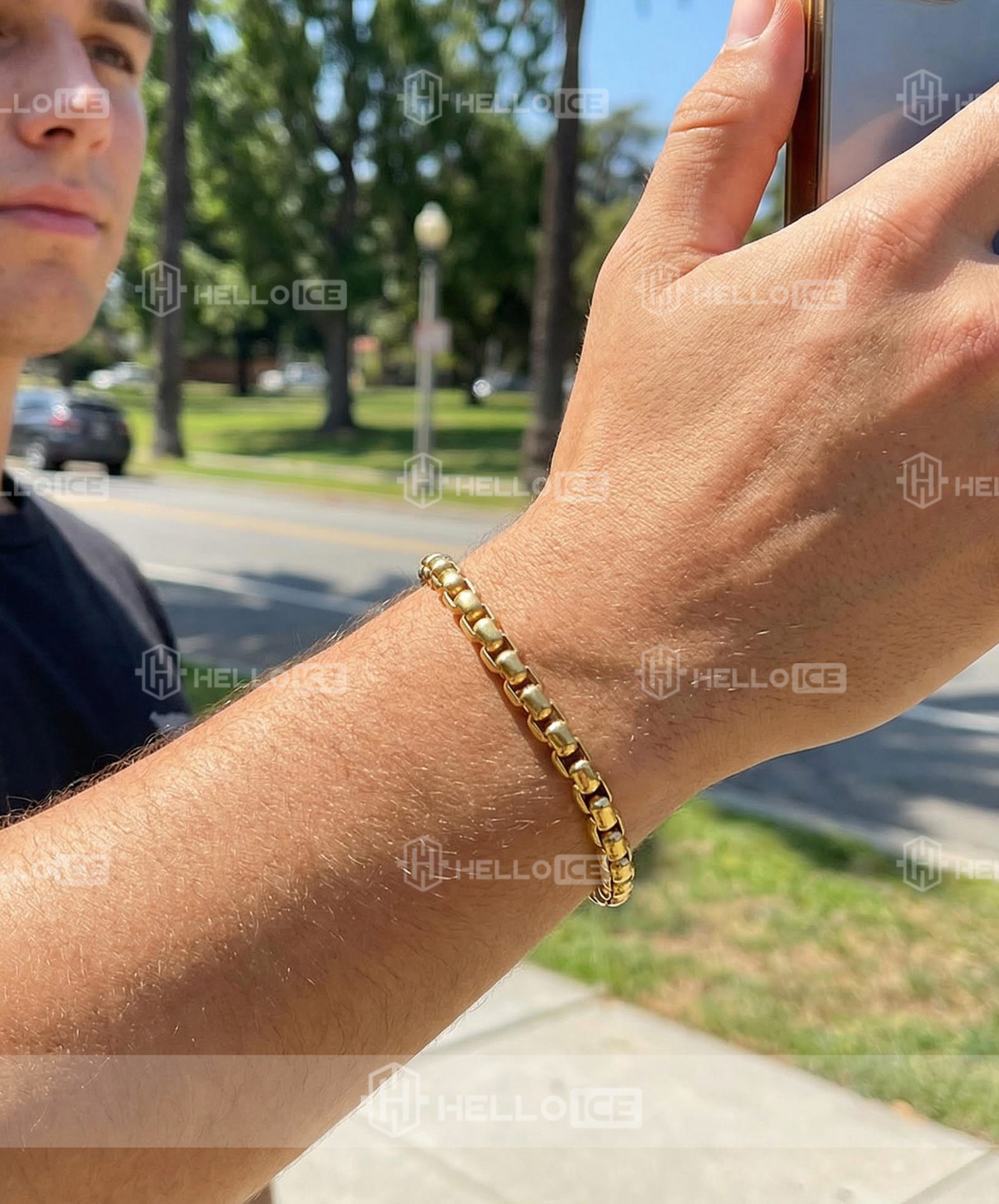 Helloice Review Image