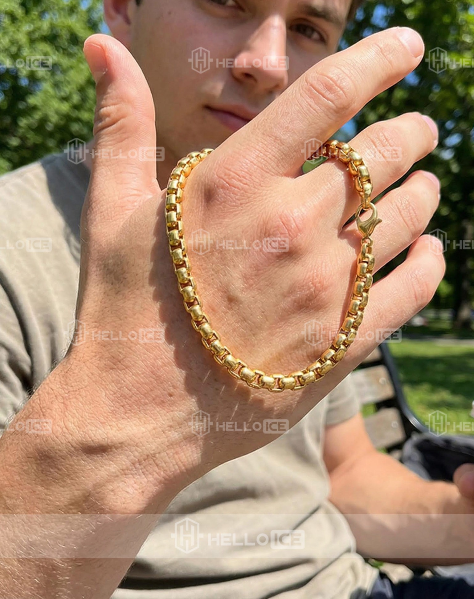 Helloice Review Image