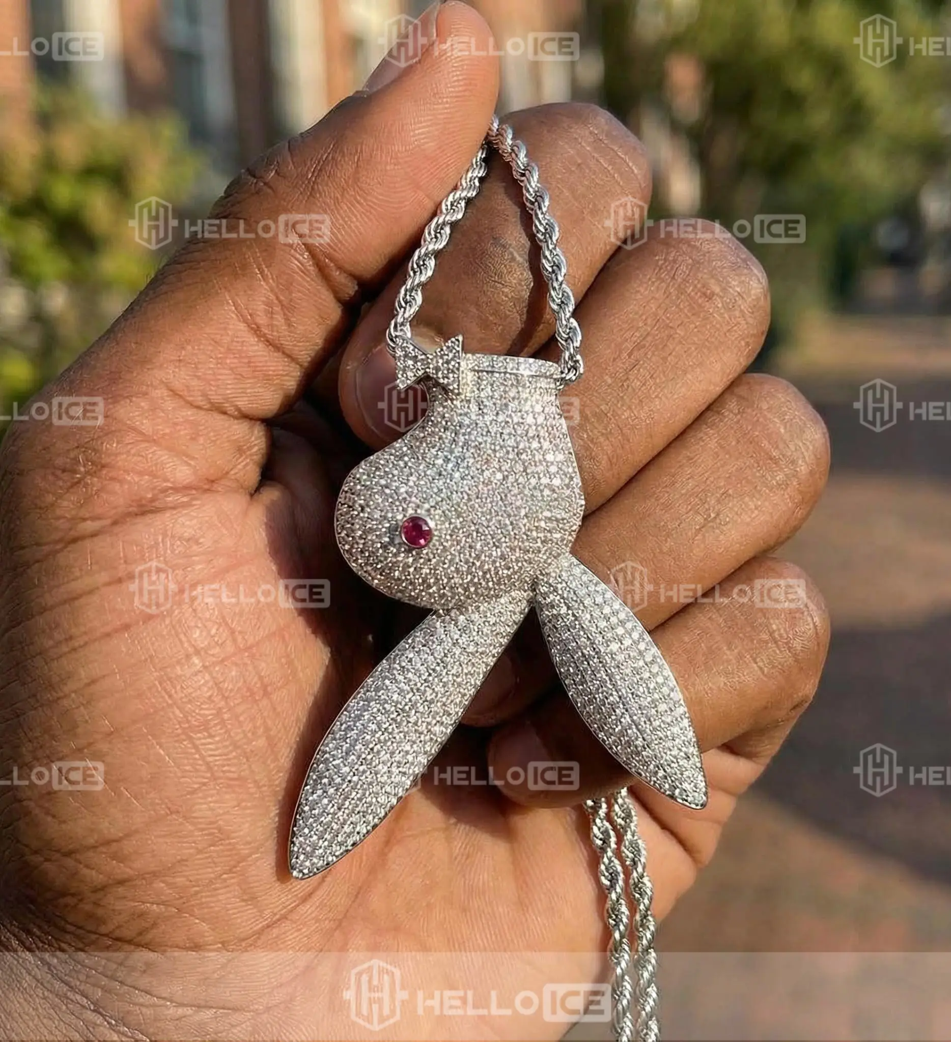 Helloice Review Image