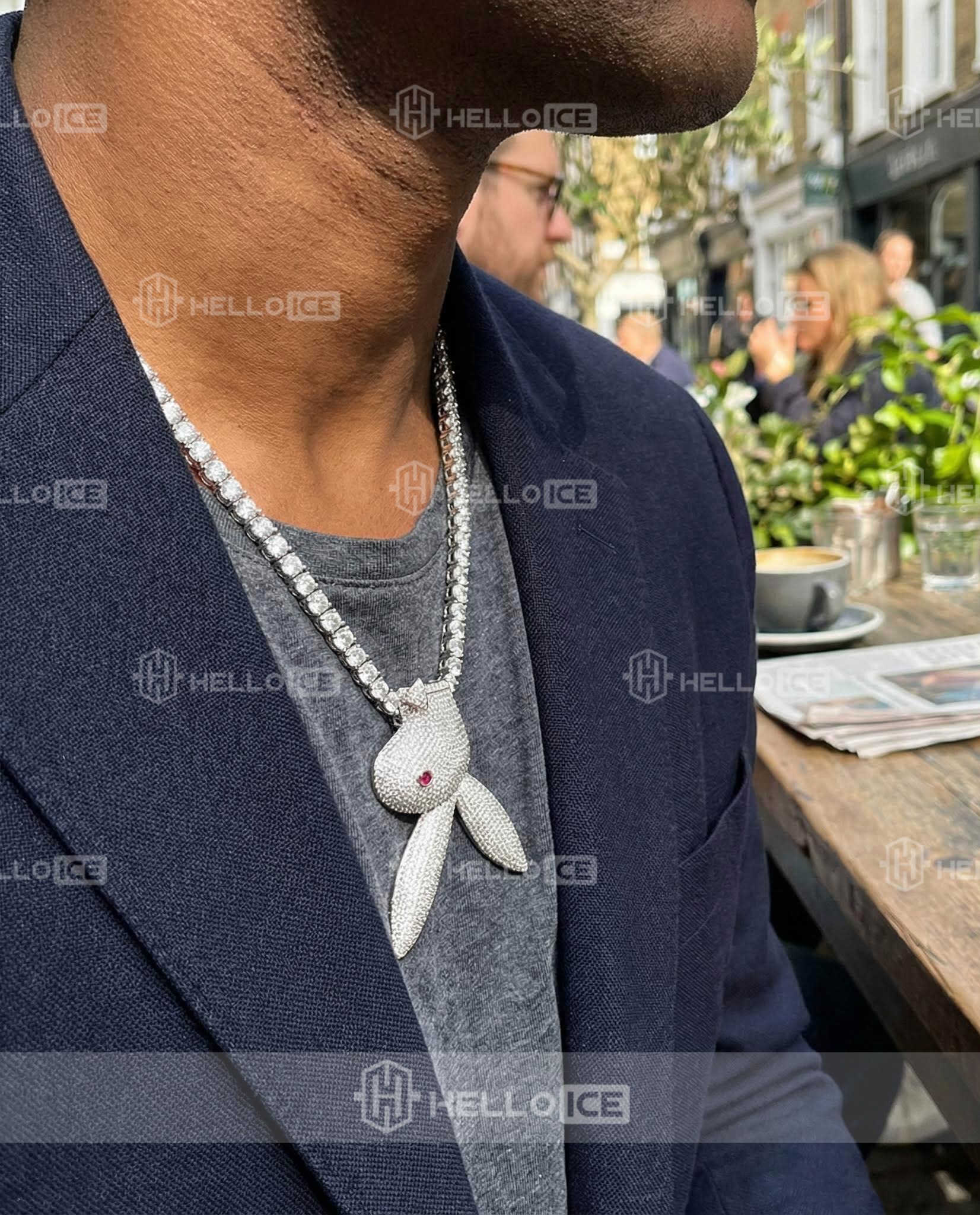 Helloice Review Image