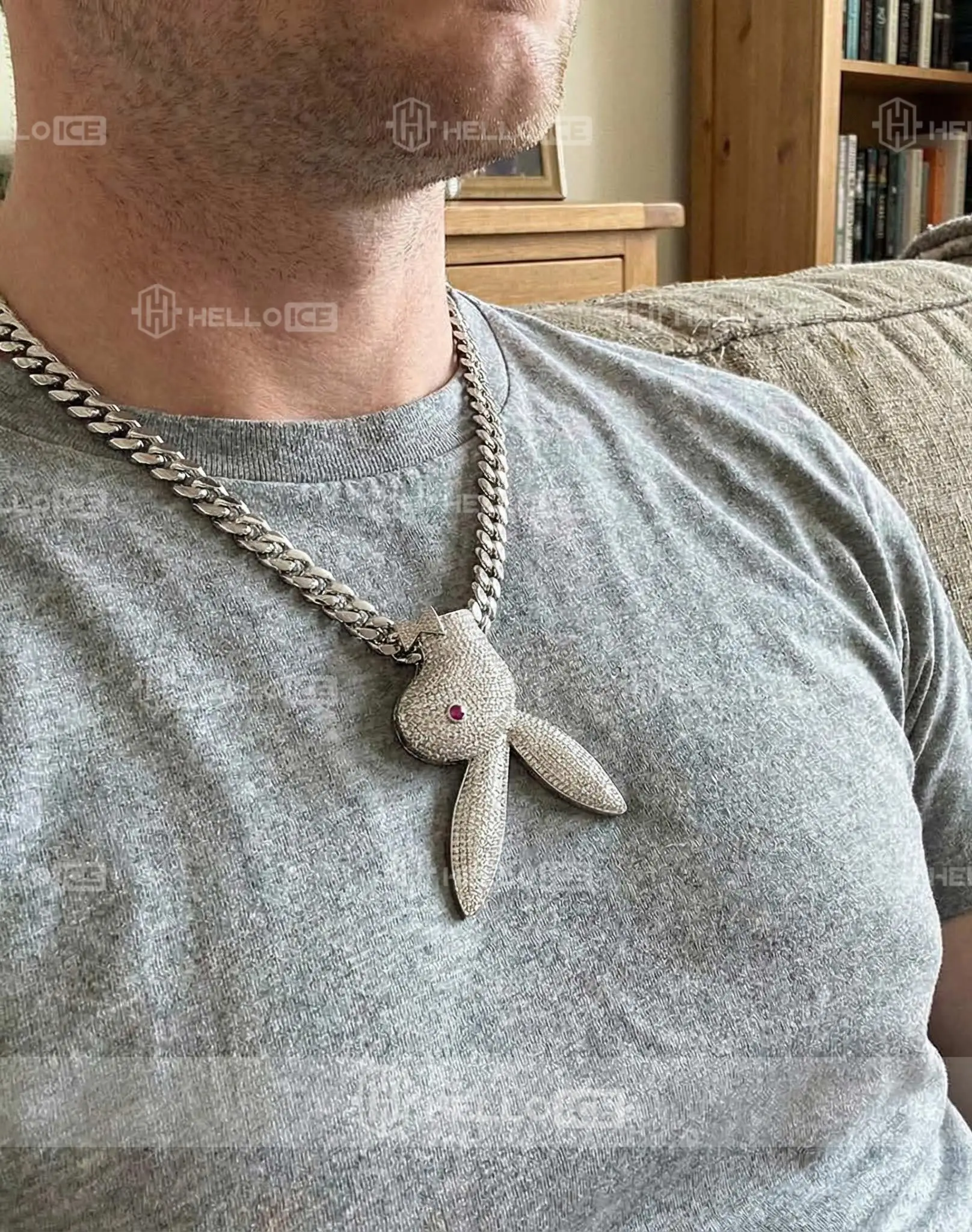 Helloice Review Image