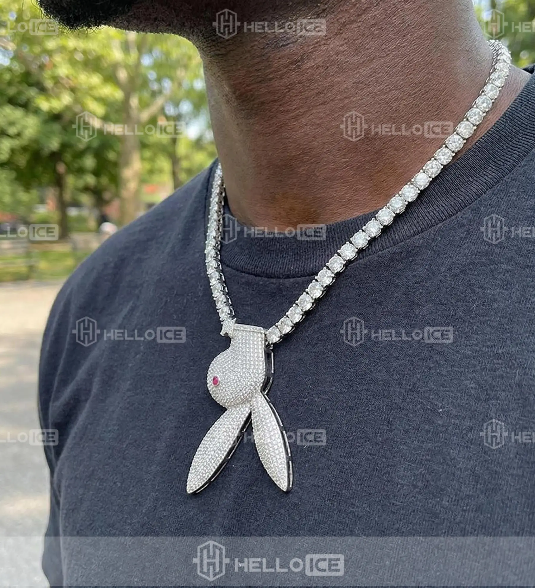 Helloice Review Image