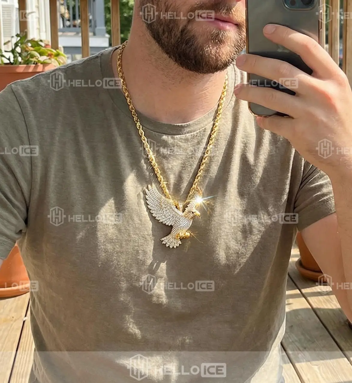 Helloice Review Image