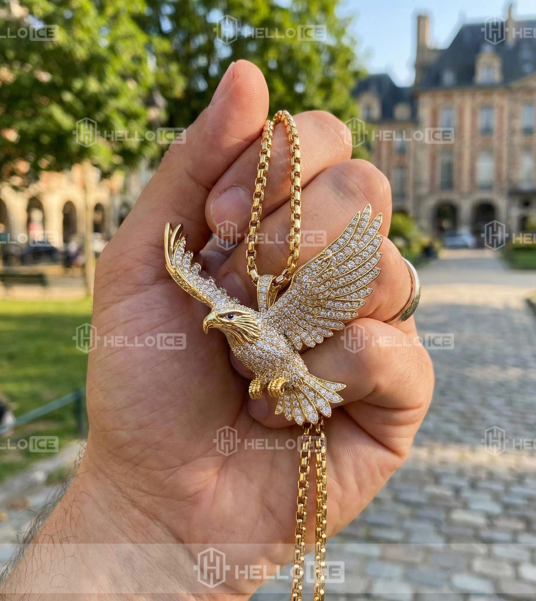 Helloice Review Image