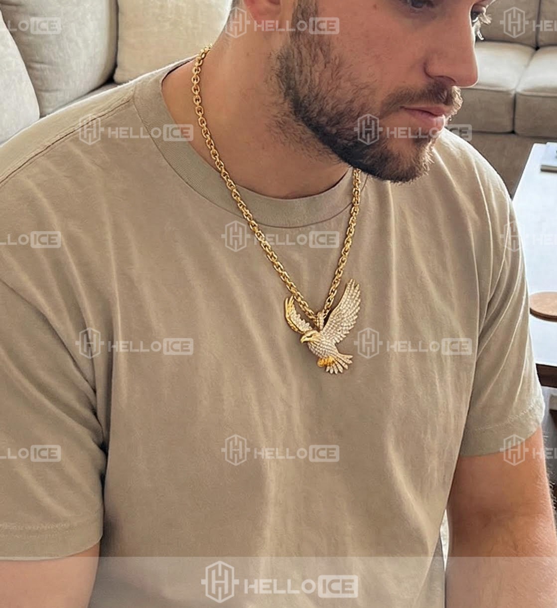 Helloice Review Image