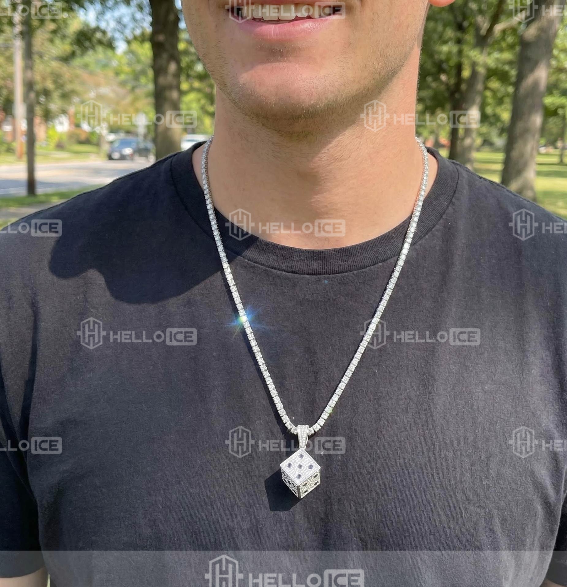 Helloice Review Image