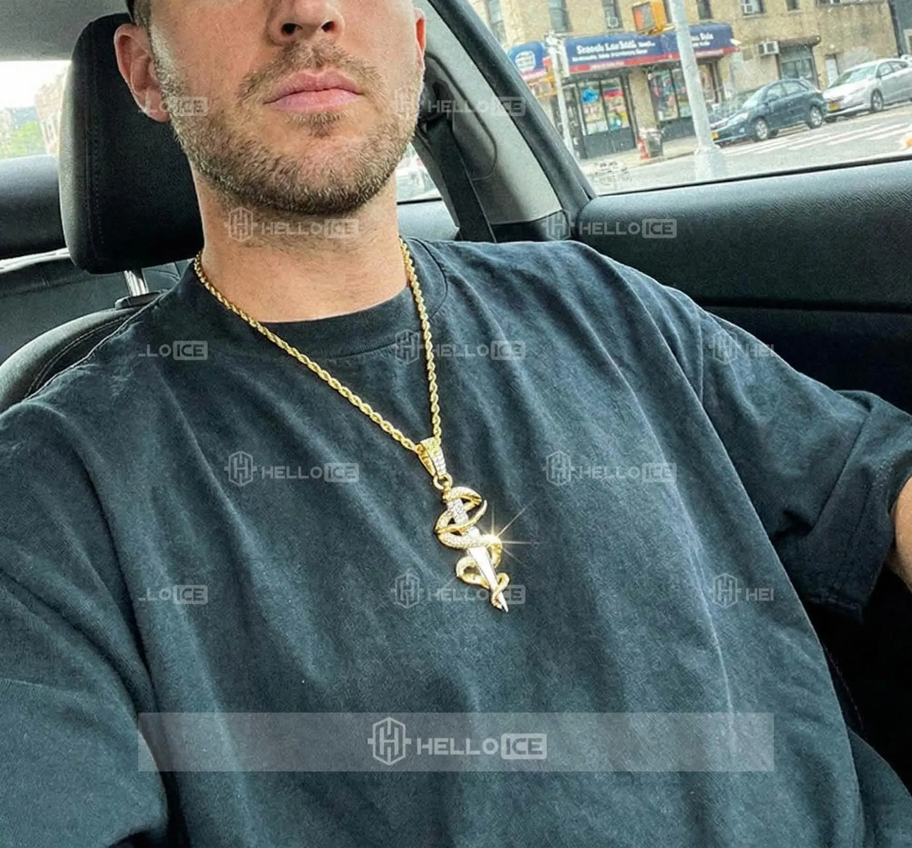 Helloice Review Image