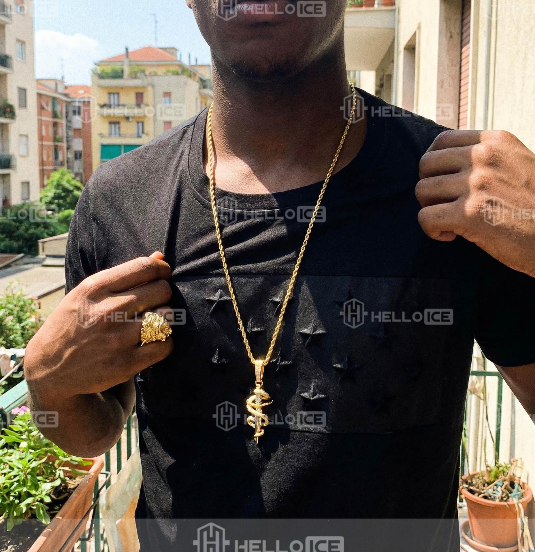 Helloice Review Image