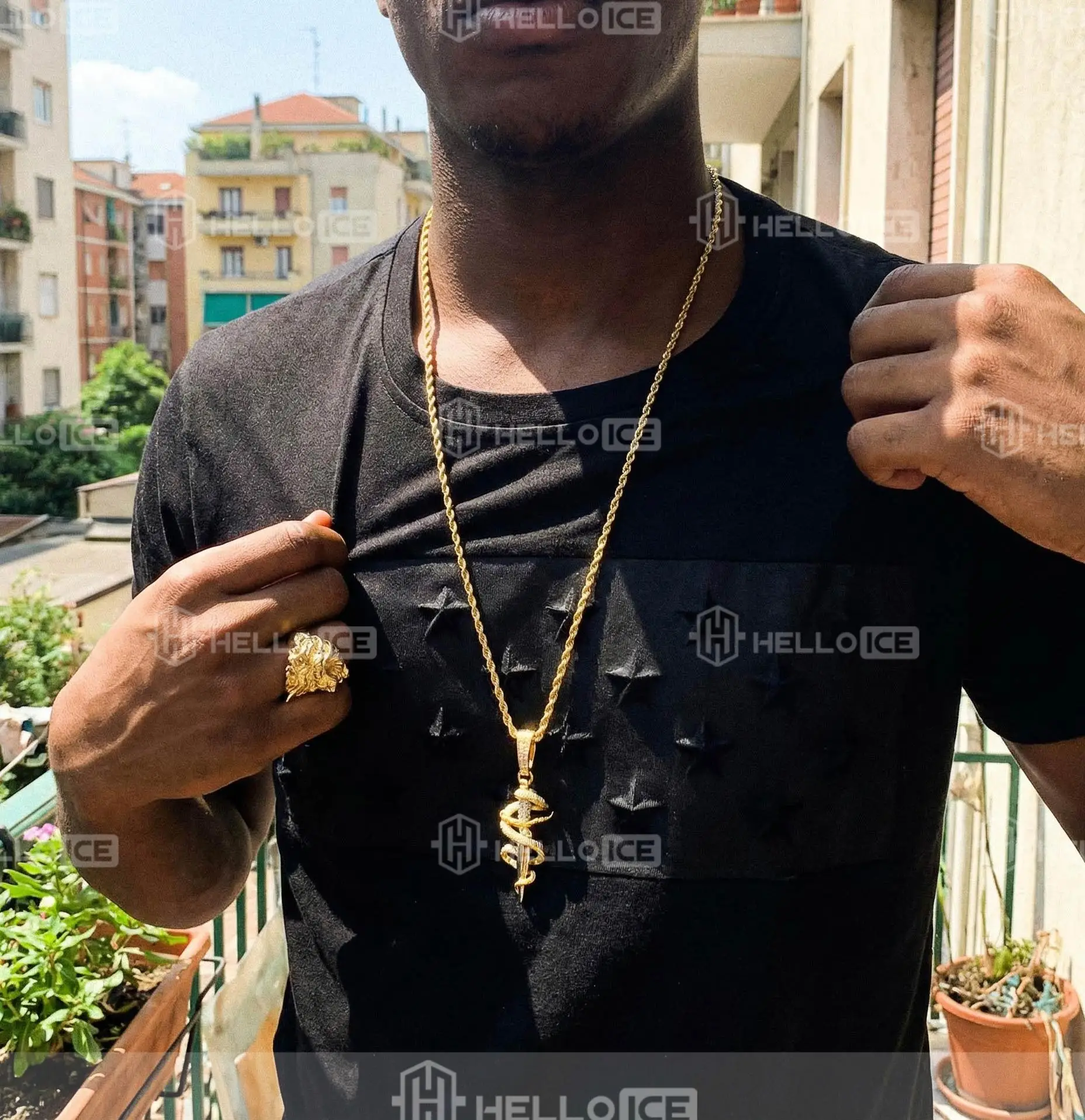 Helloice Review Image