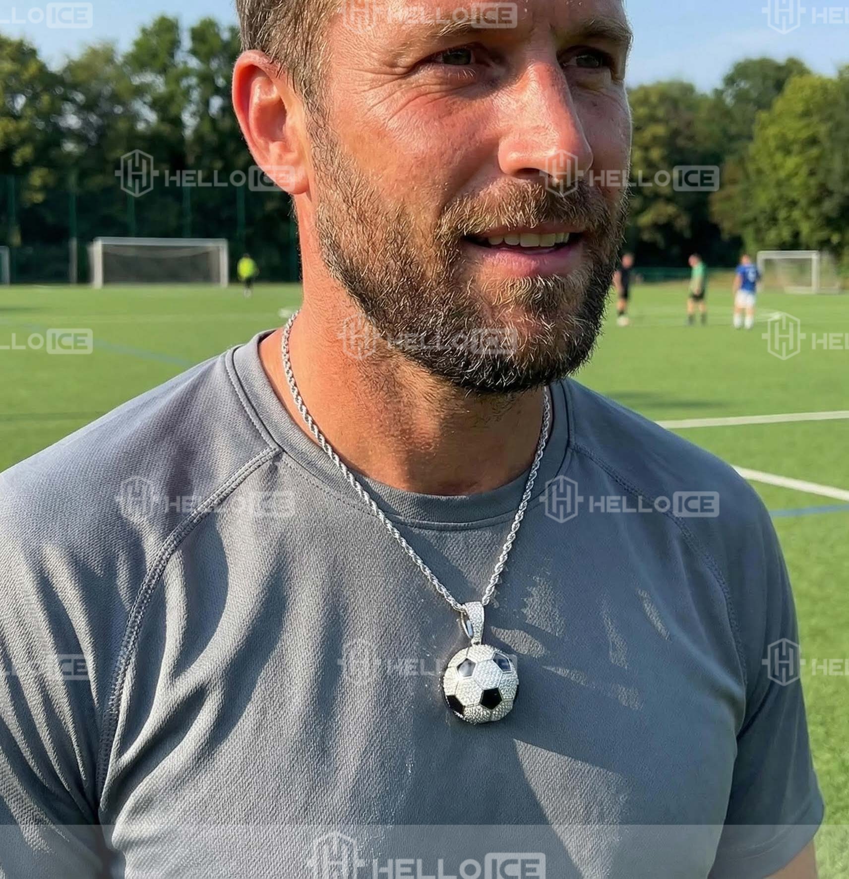 Helloice Review Image