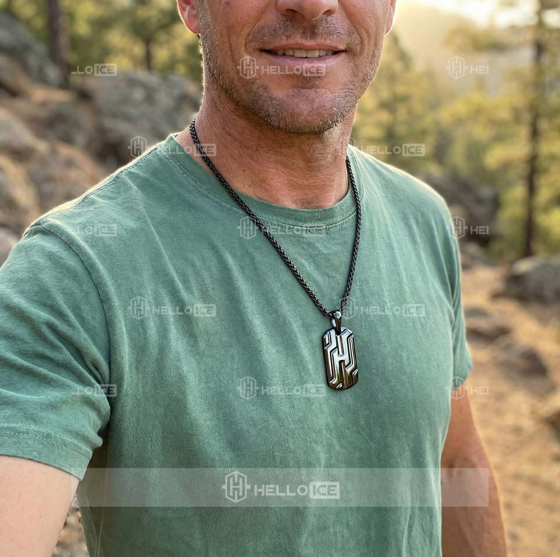 Helloice Review Image