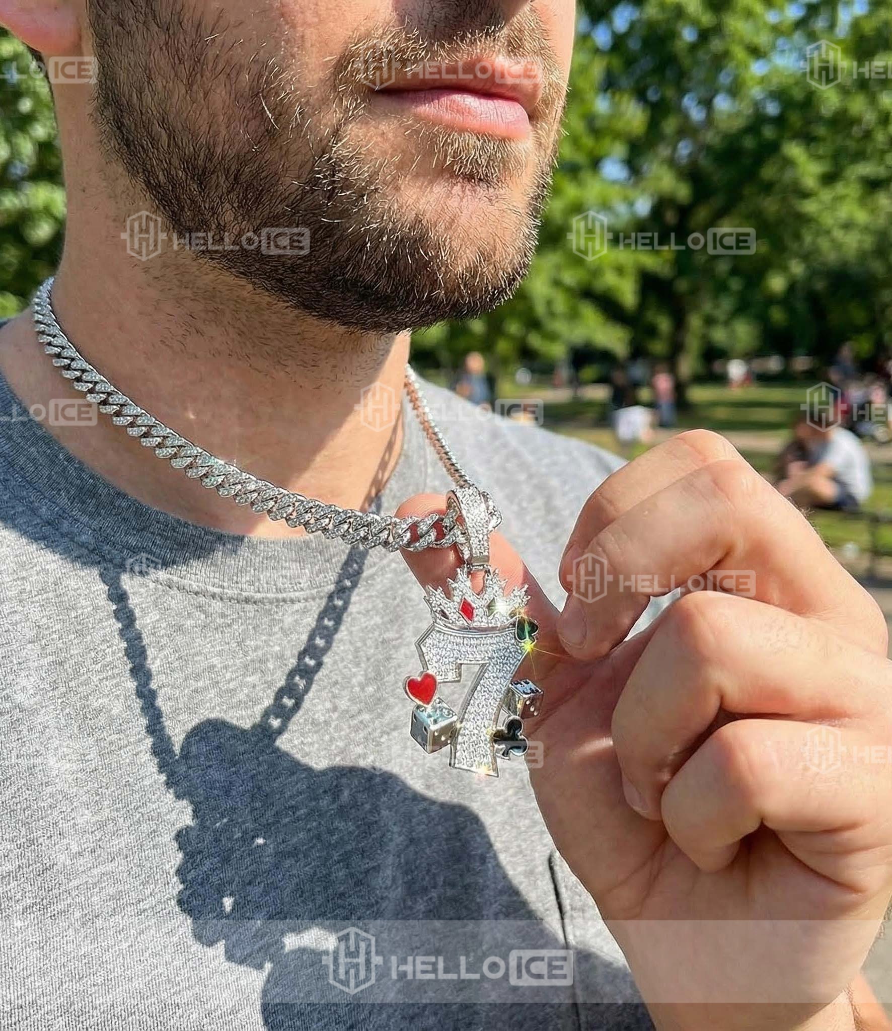 Helloice Review Image