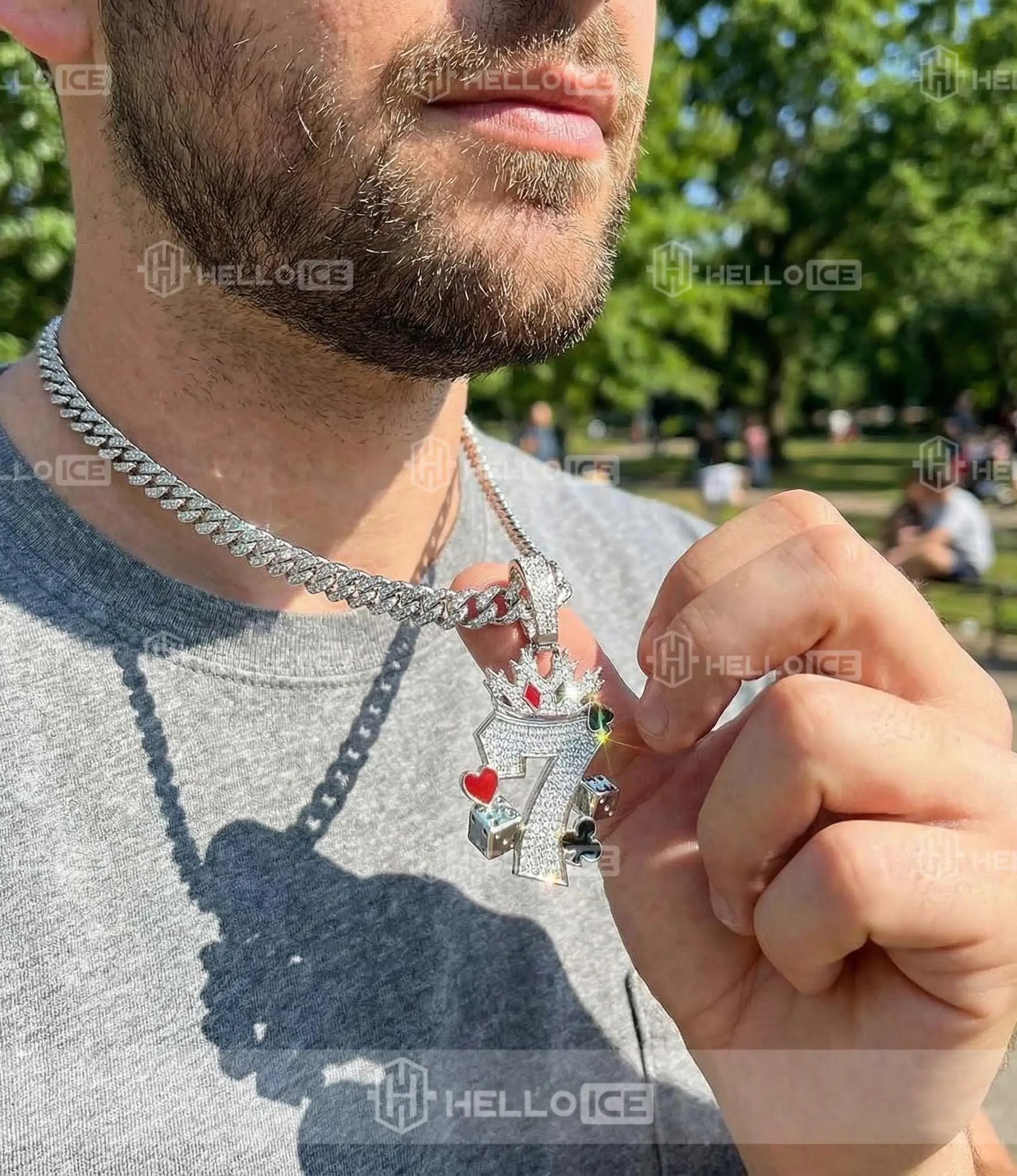 Helloice Review Image