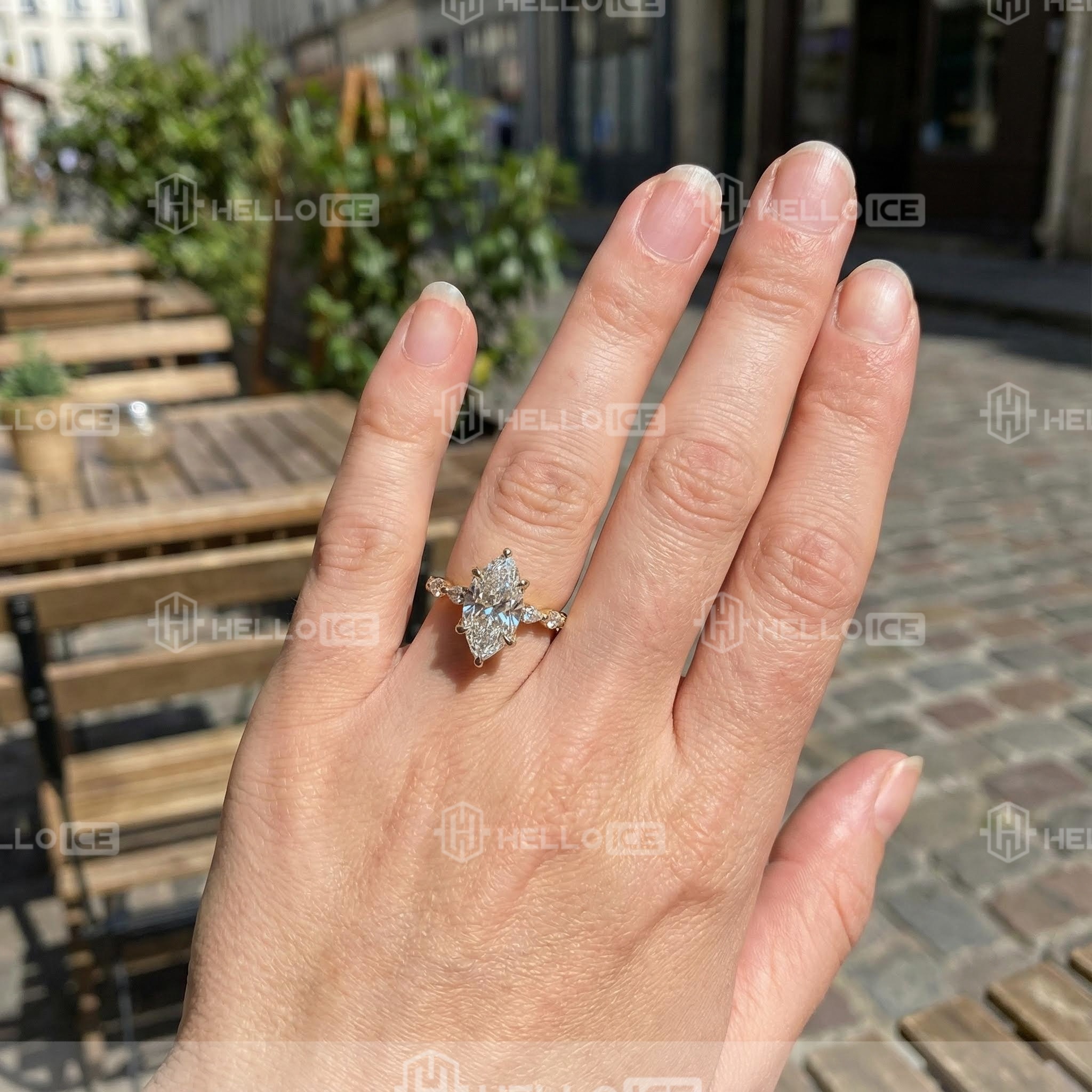 Helloice Review Image