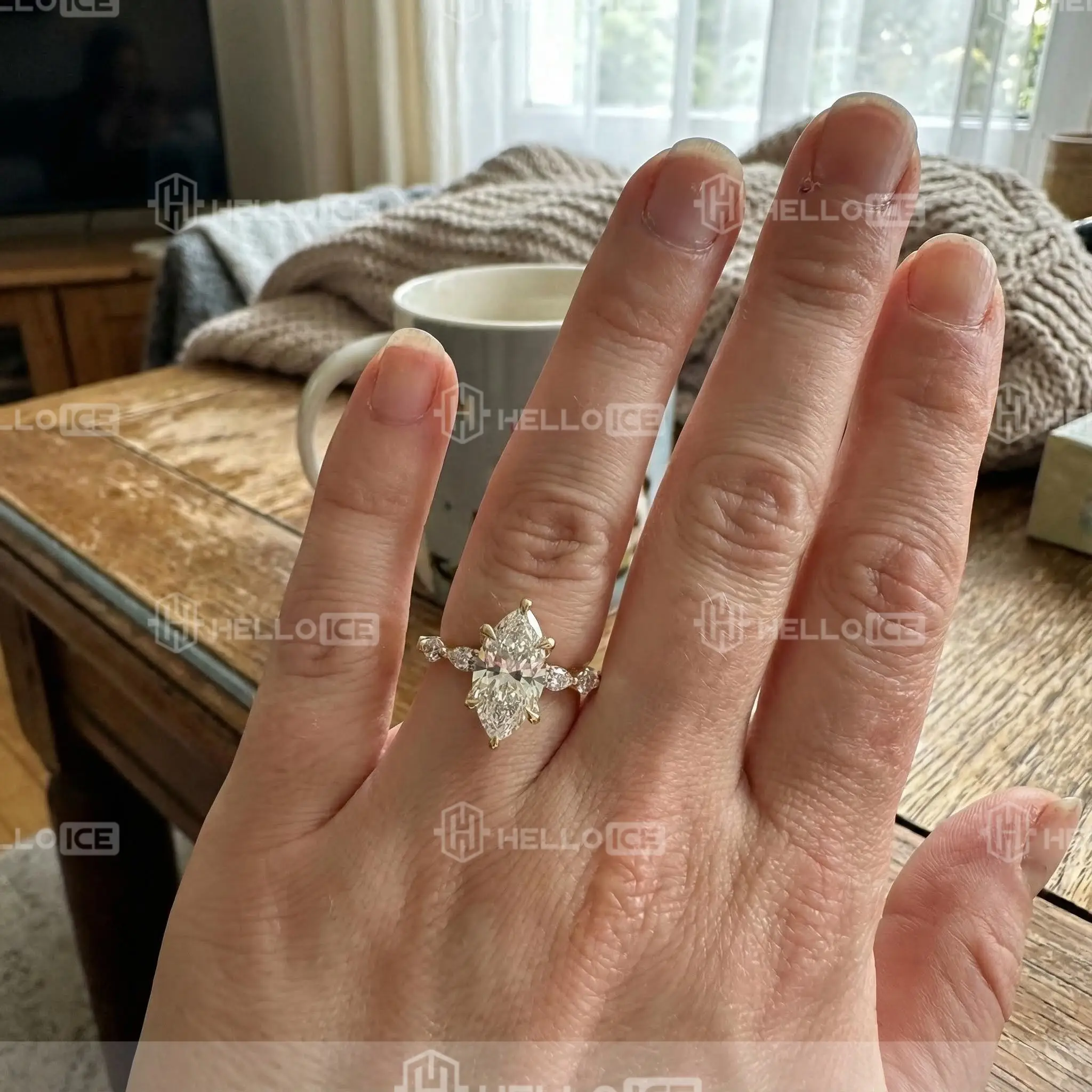 Helloice Review Image