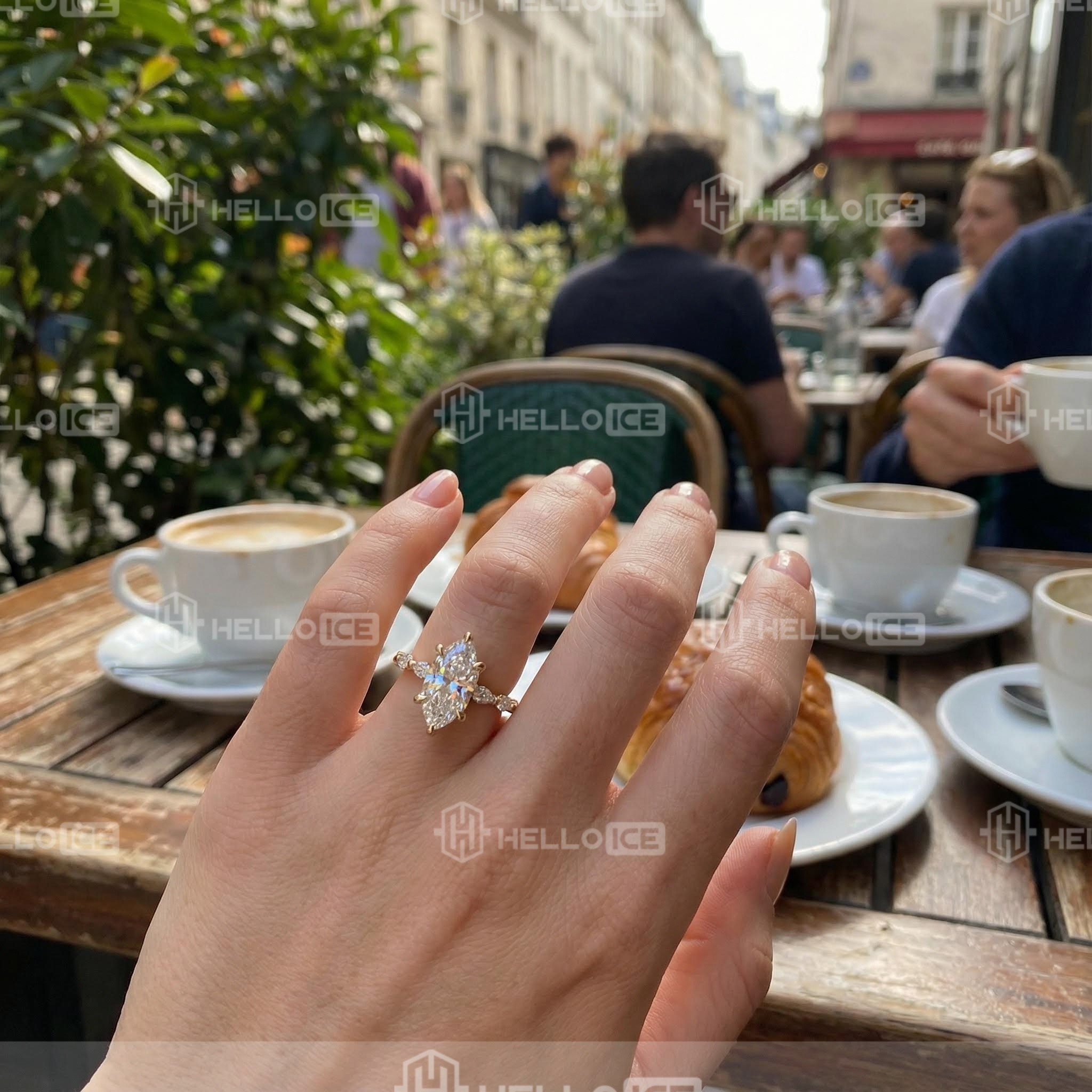 Helloice Review Image