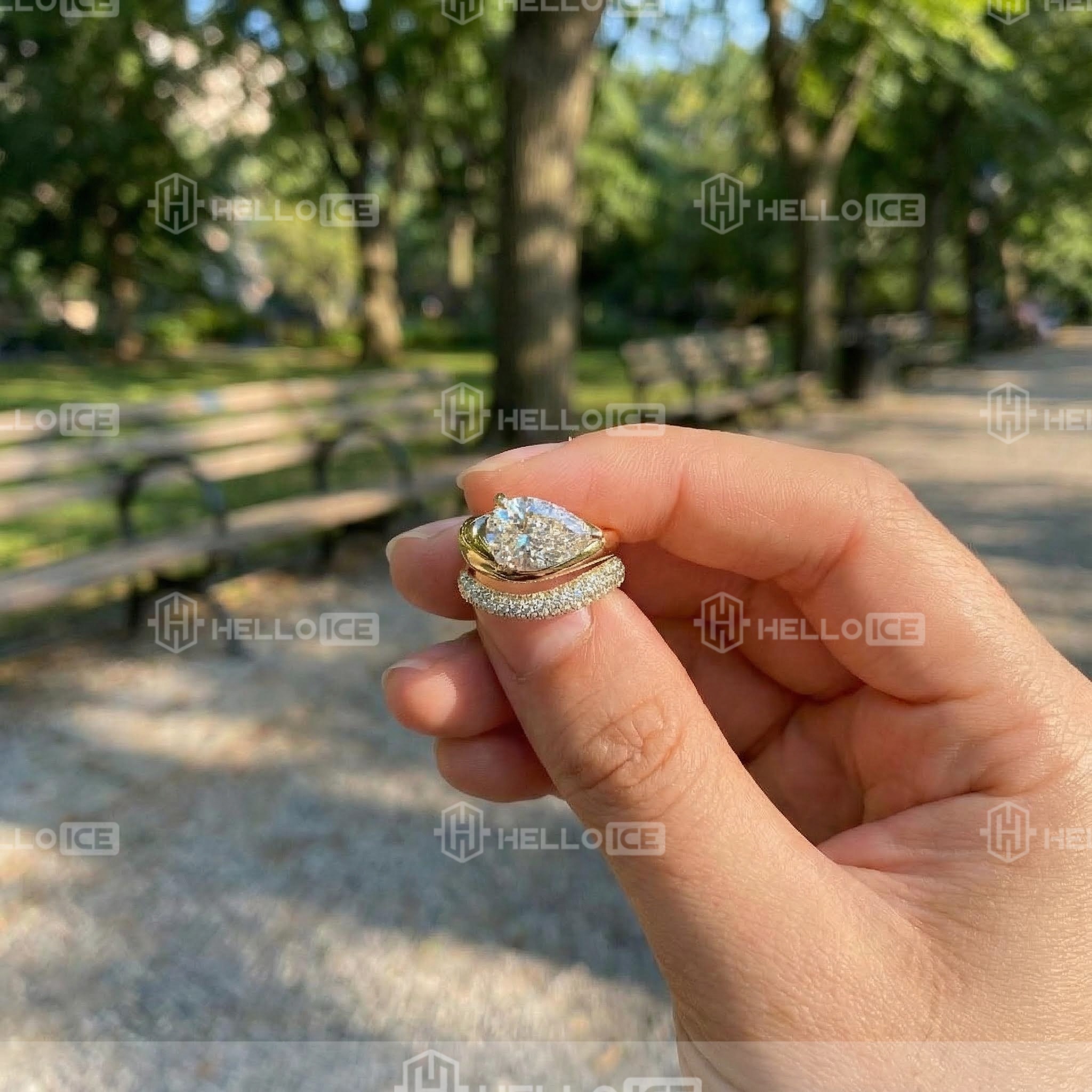 Helloice Review Image