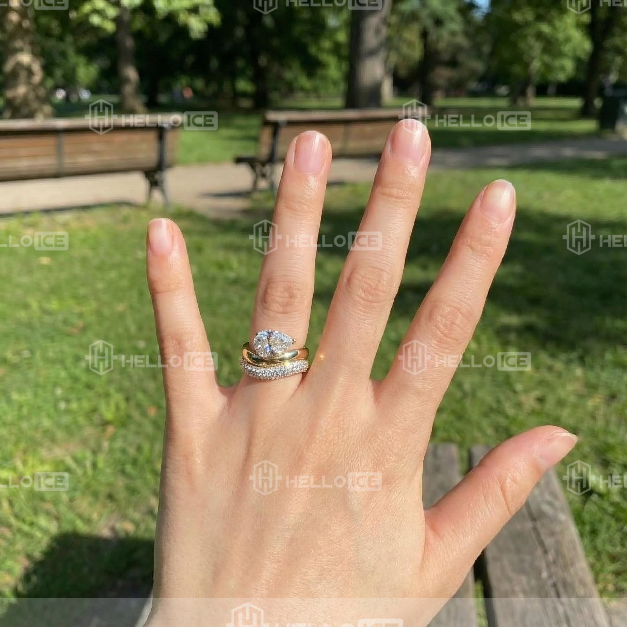 Helloice Review Image