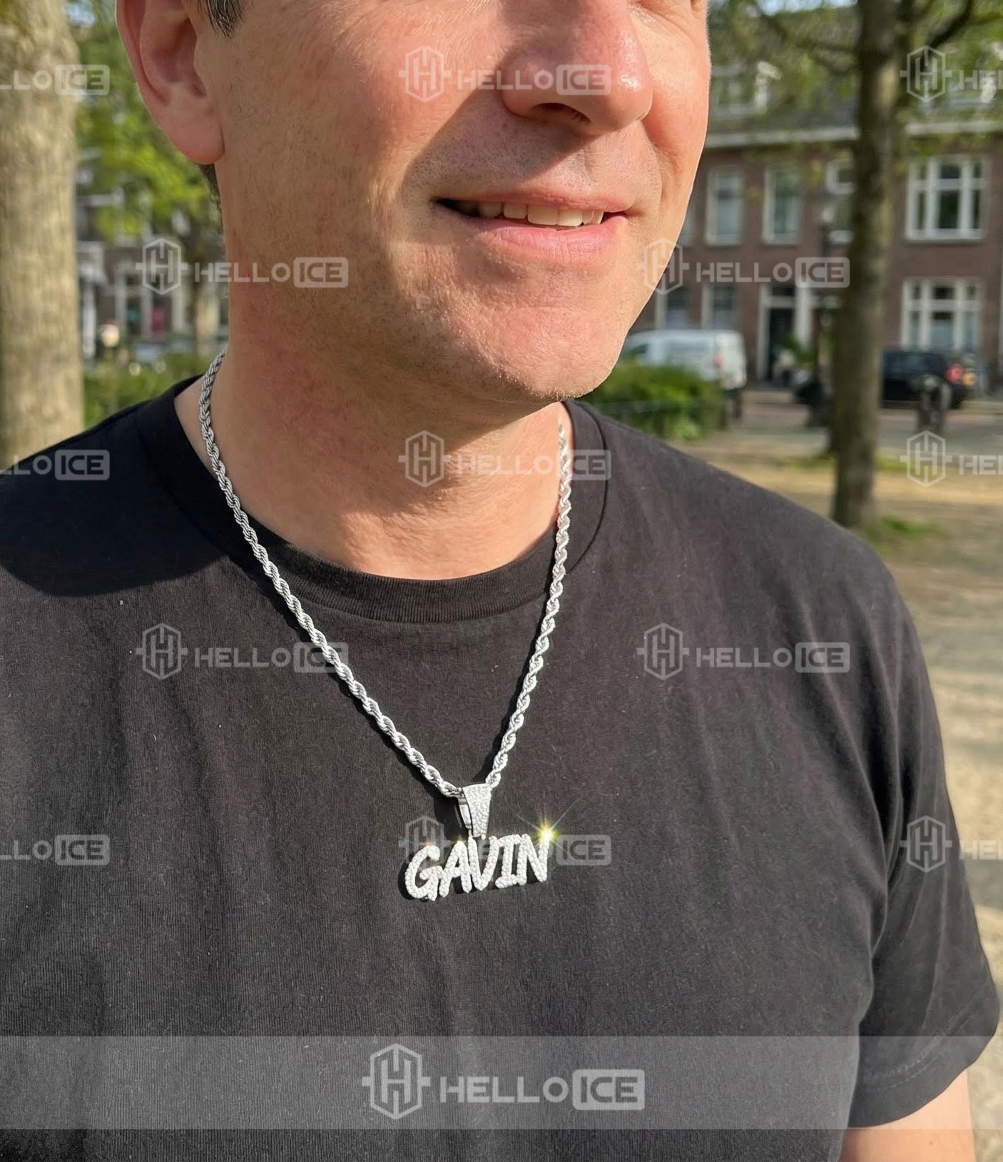 Helloice Review Image