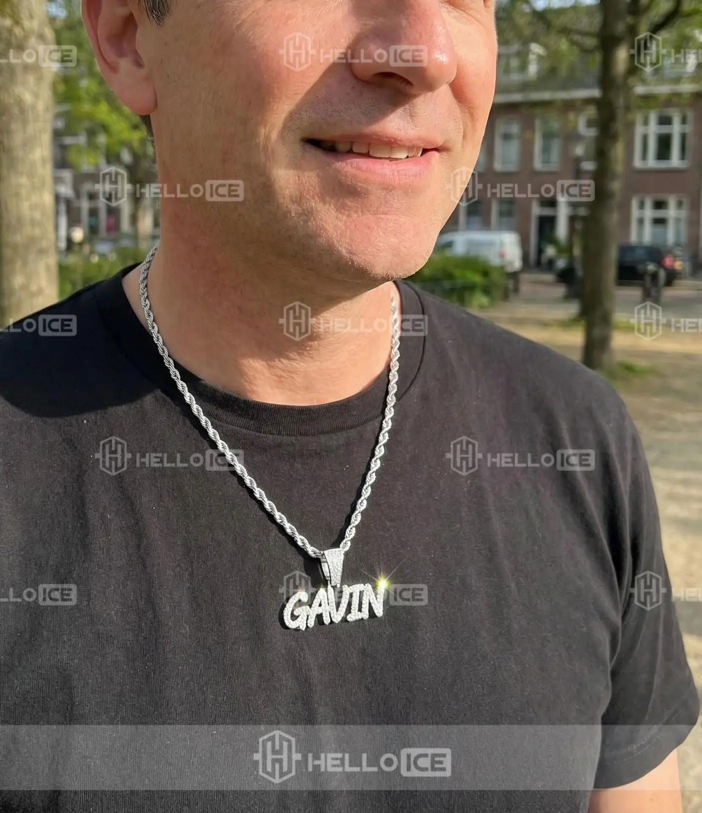 Helloice Review Image